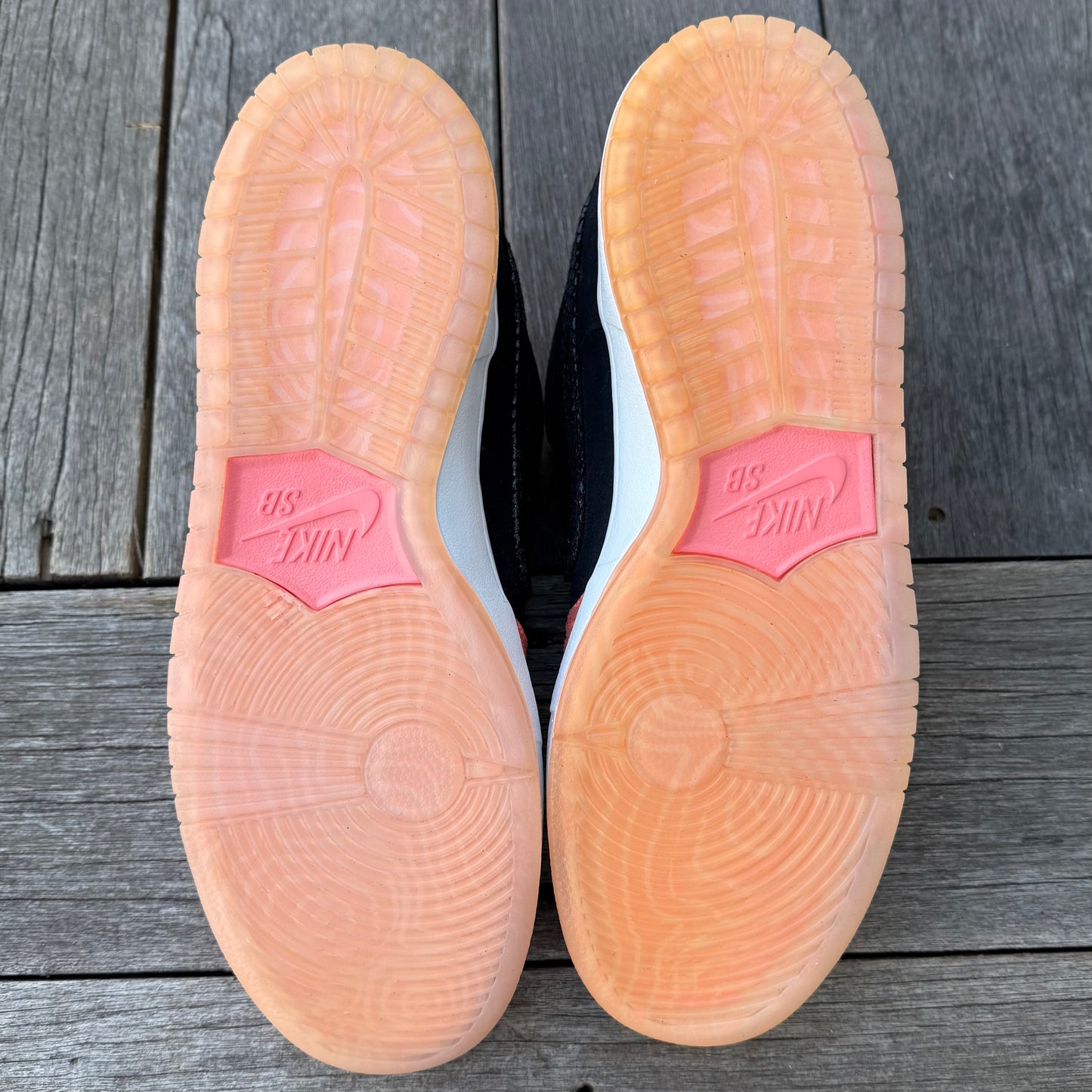 Nike SB Dunk Low Fish Ladder Size 12