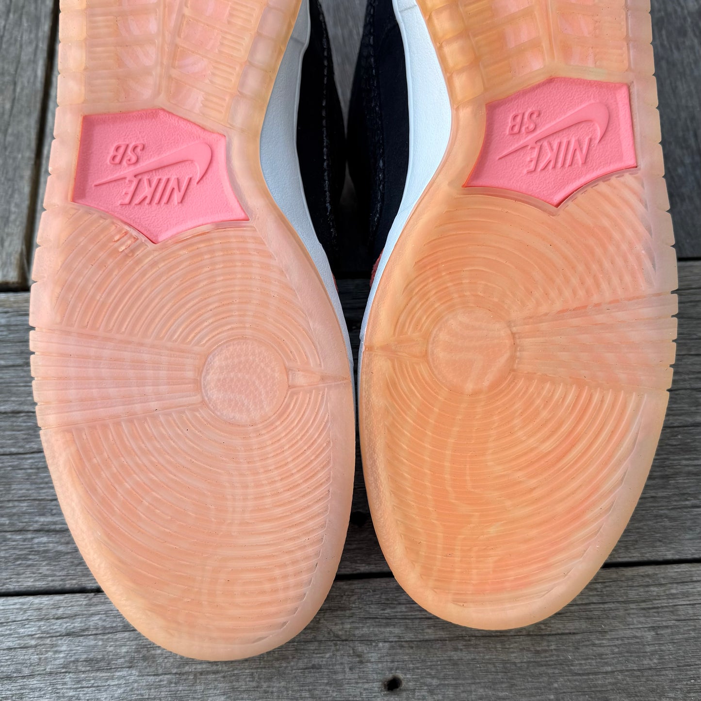 Nike SB Dunk Low Fish Ladder Size 12