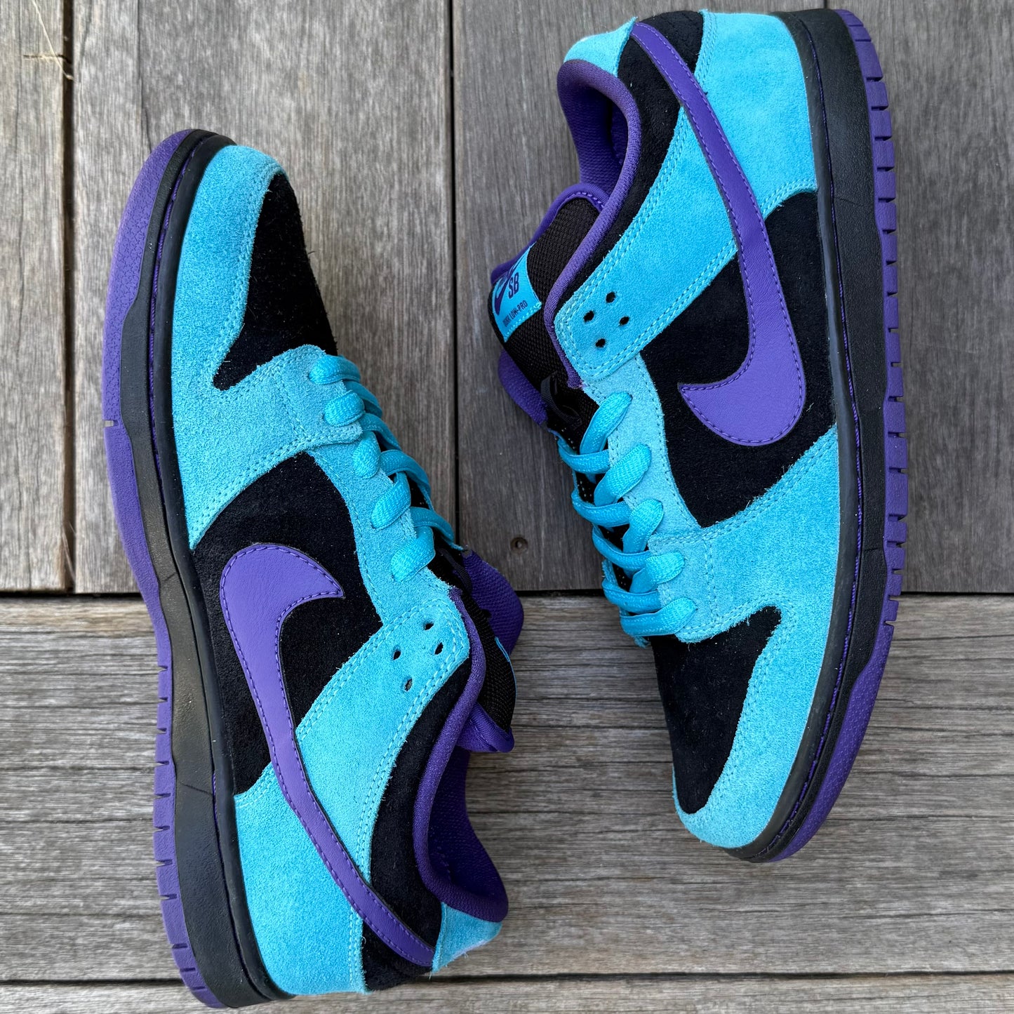 Nike SB Dunk Low Skeletor Size 8.5