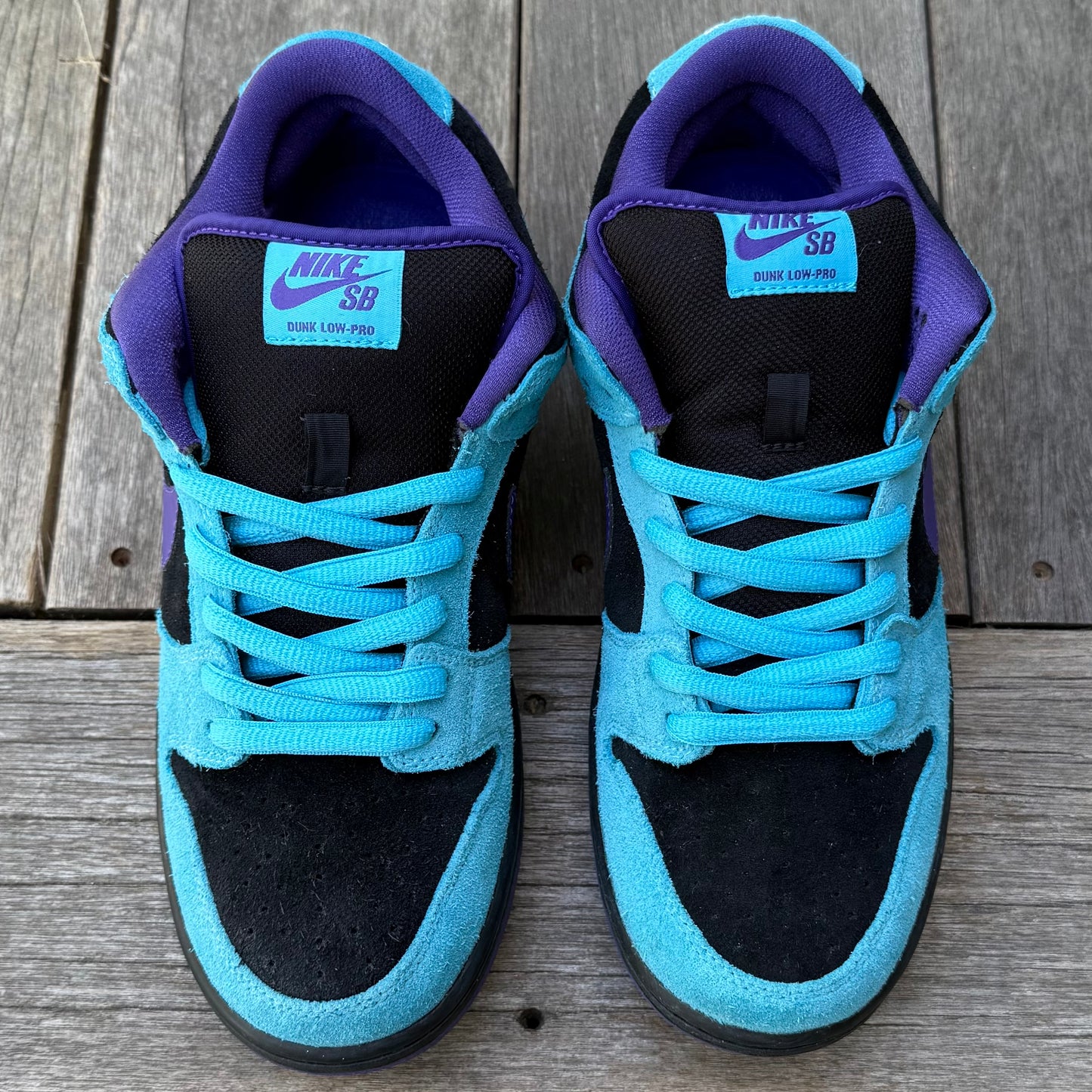 Nike SB Dunk Low Skeletor Size 8.5