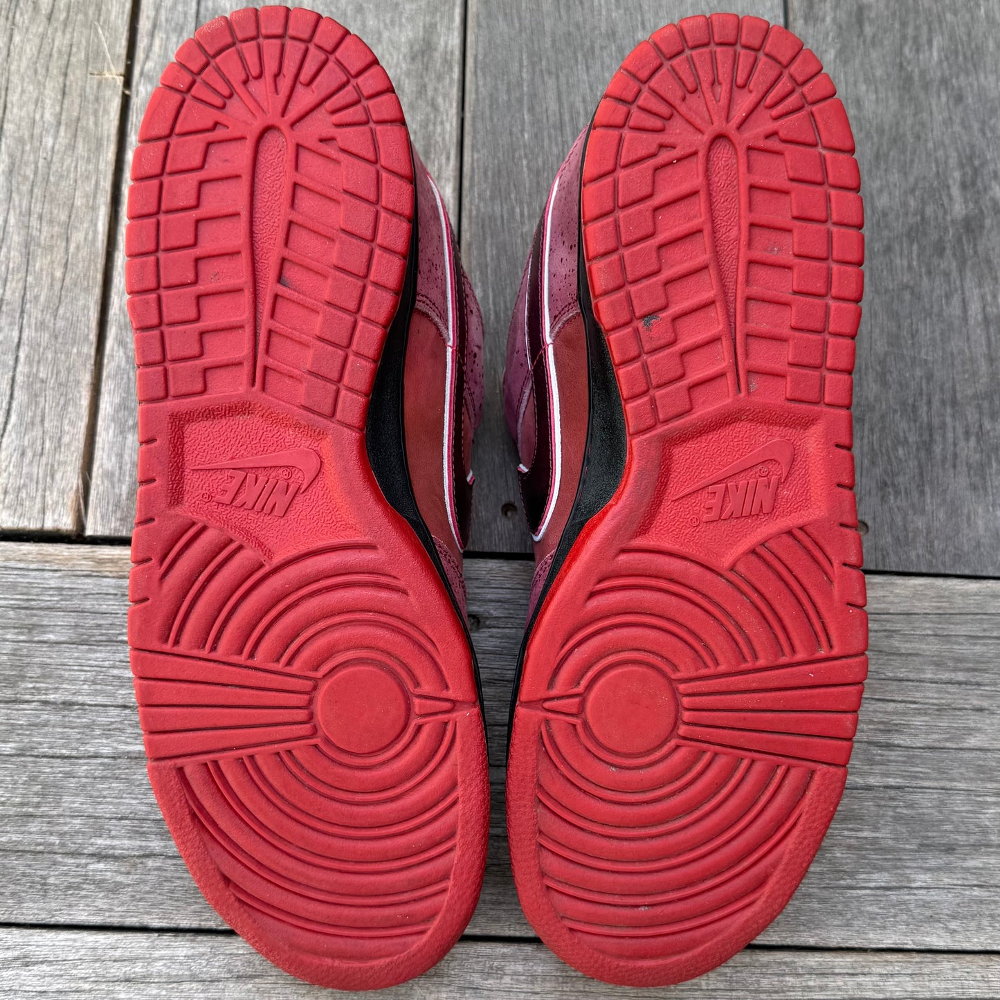 Nike SB Dunk Low Red Lobster Size 12