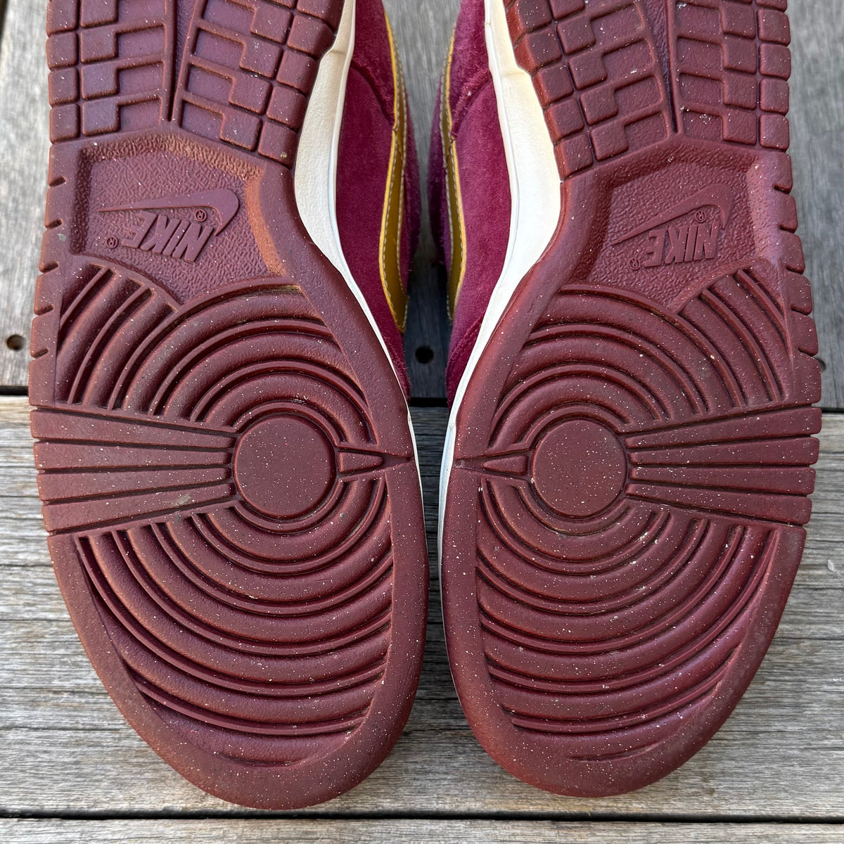 Nike SB Dunk Low Anchorman Size 9.5