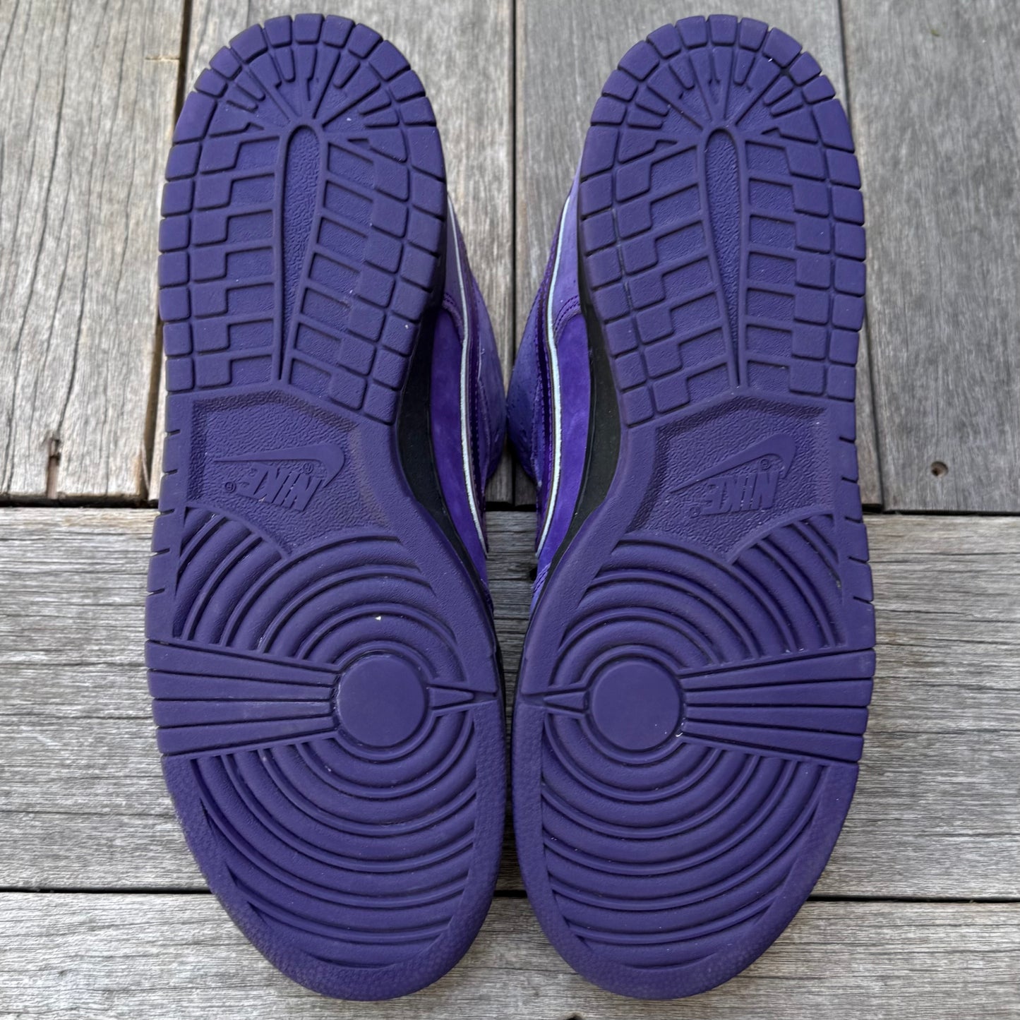 Nike SB Dunk Low Purple Lobster Size 11
