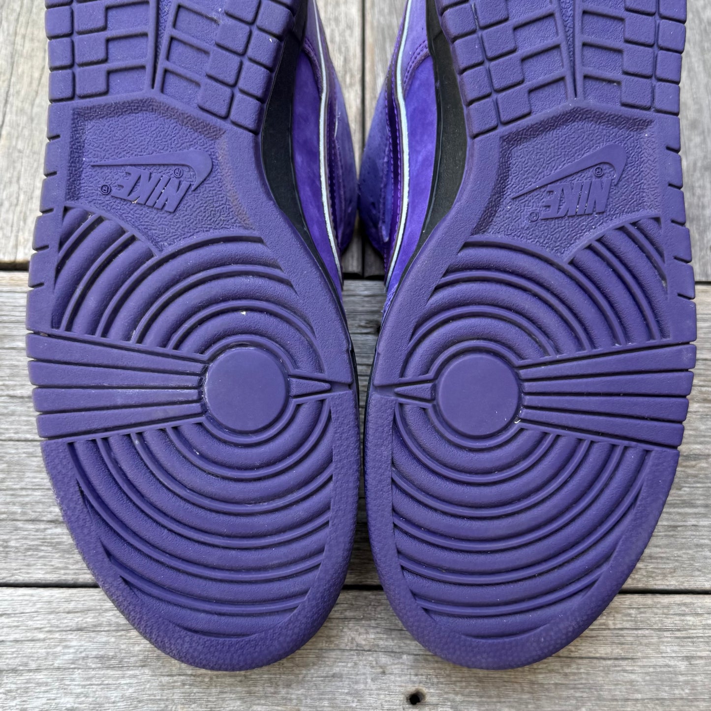 Nike SB Dunk Low Purple Lobster Size 11