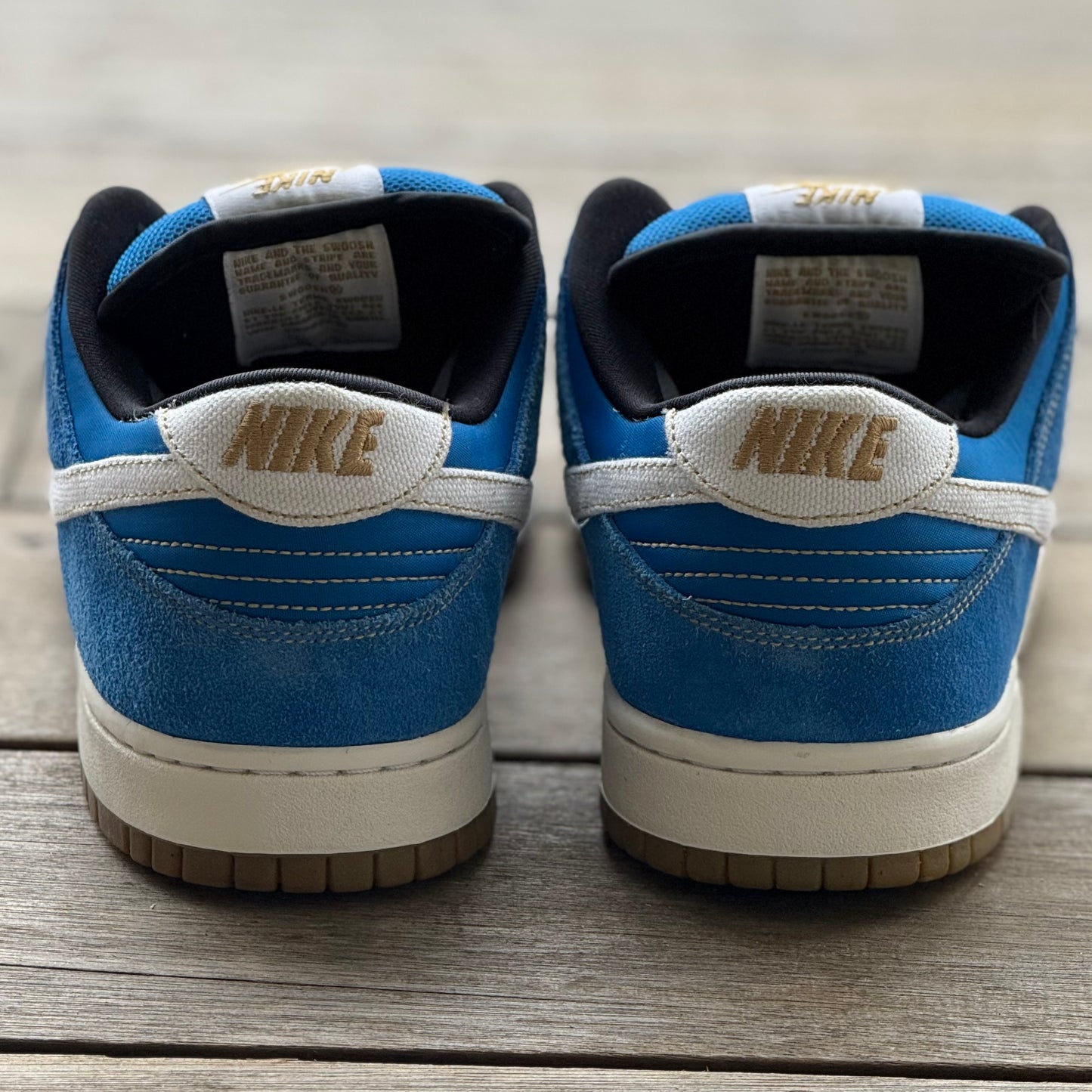 Nike SB Dunk Low Chun Li Size 9.5