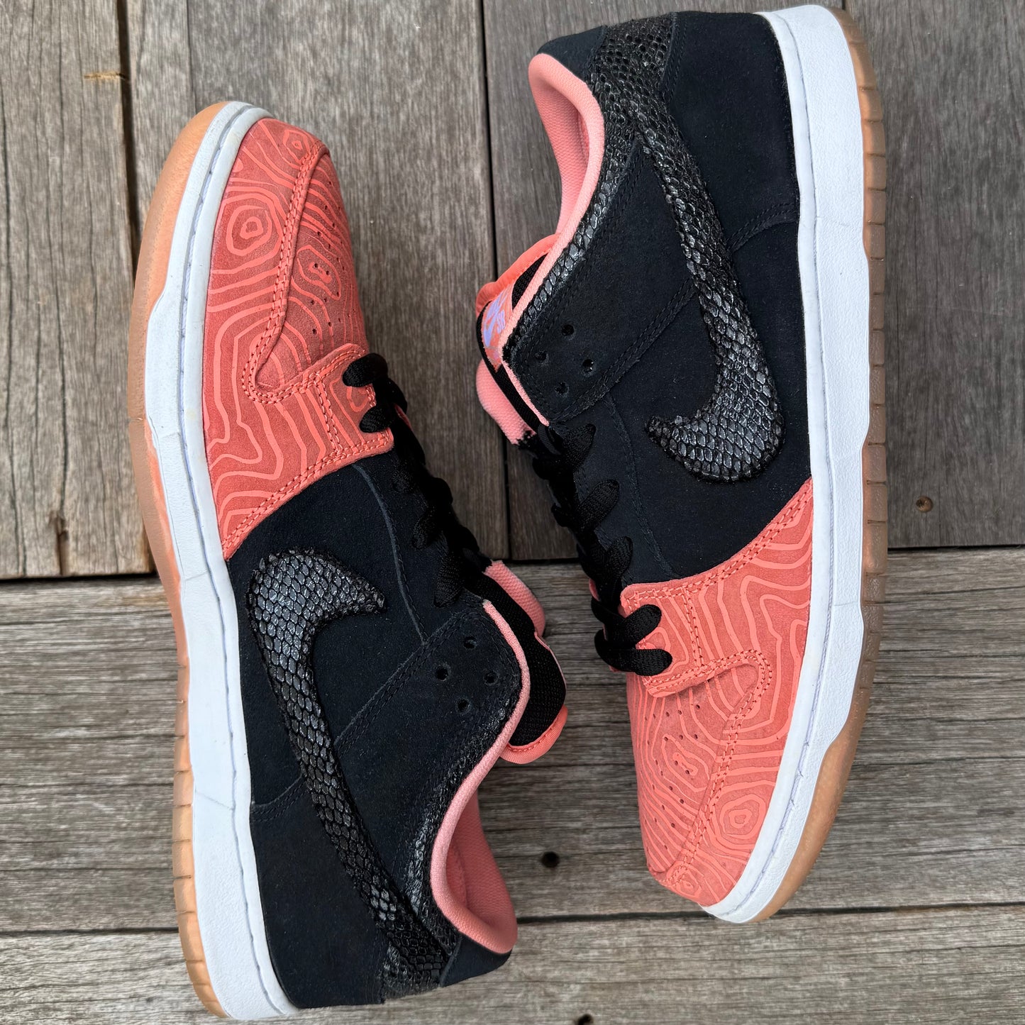 Nike SB Dunk Low Fish Ladder Size 12
