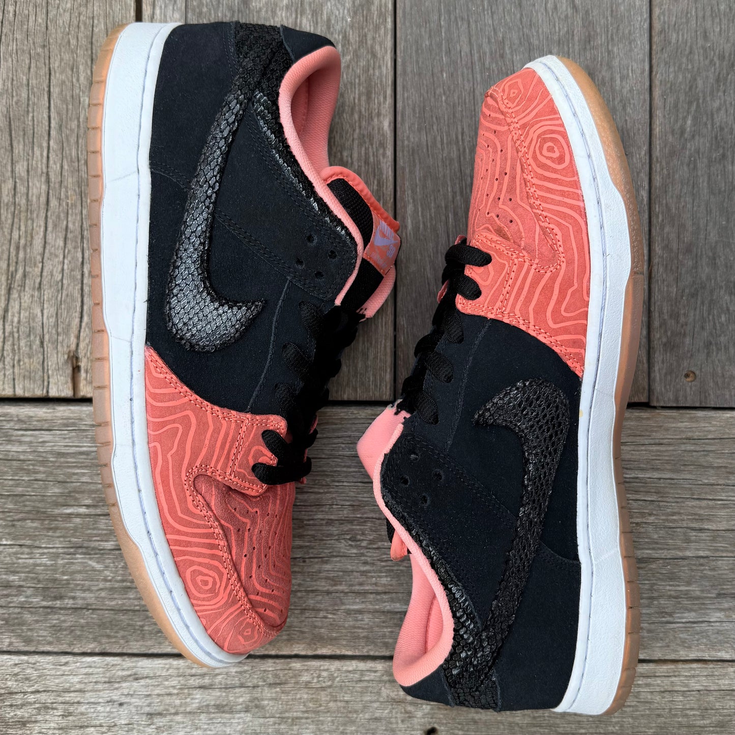 Nike SB Dunk Low Fish Ladder Size 12