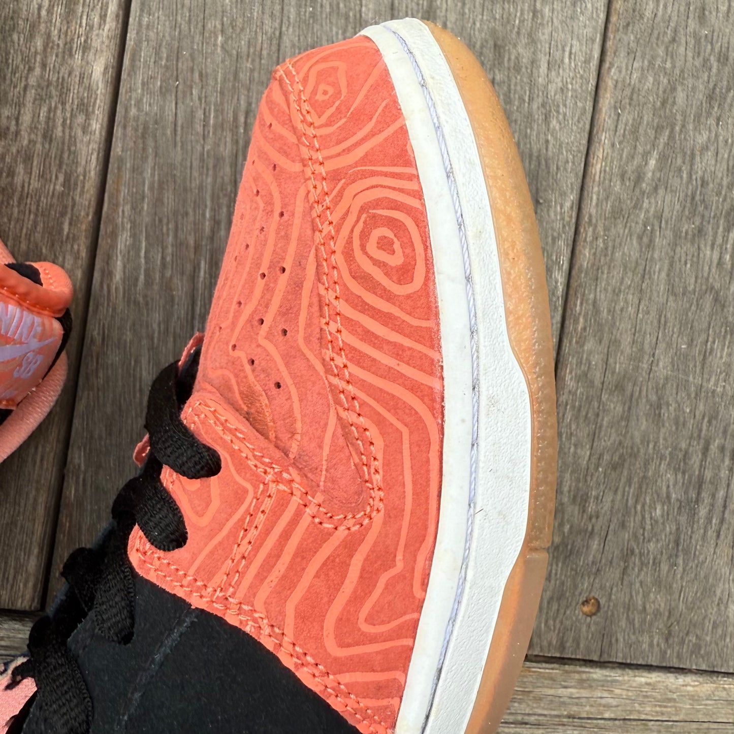 Nike SB Dunk Low Fish Ladder Size 12