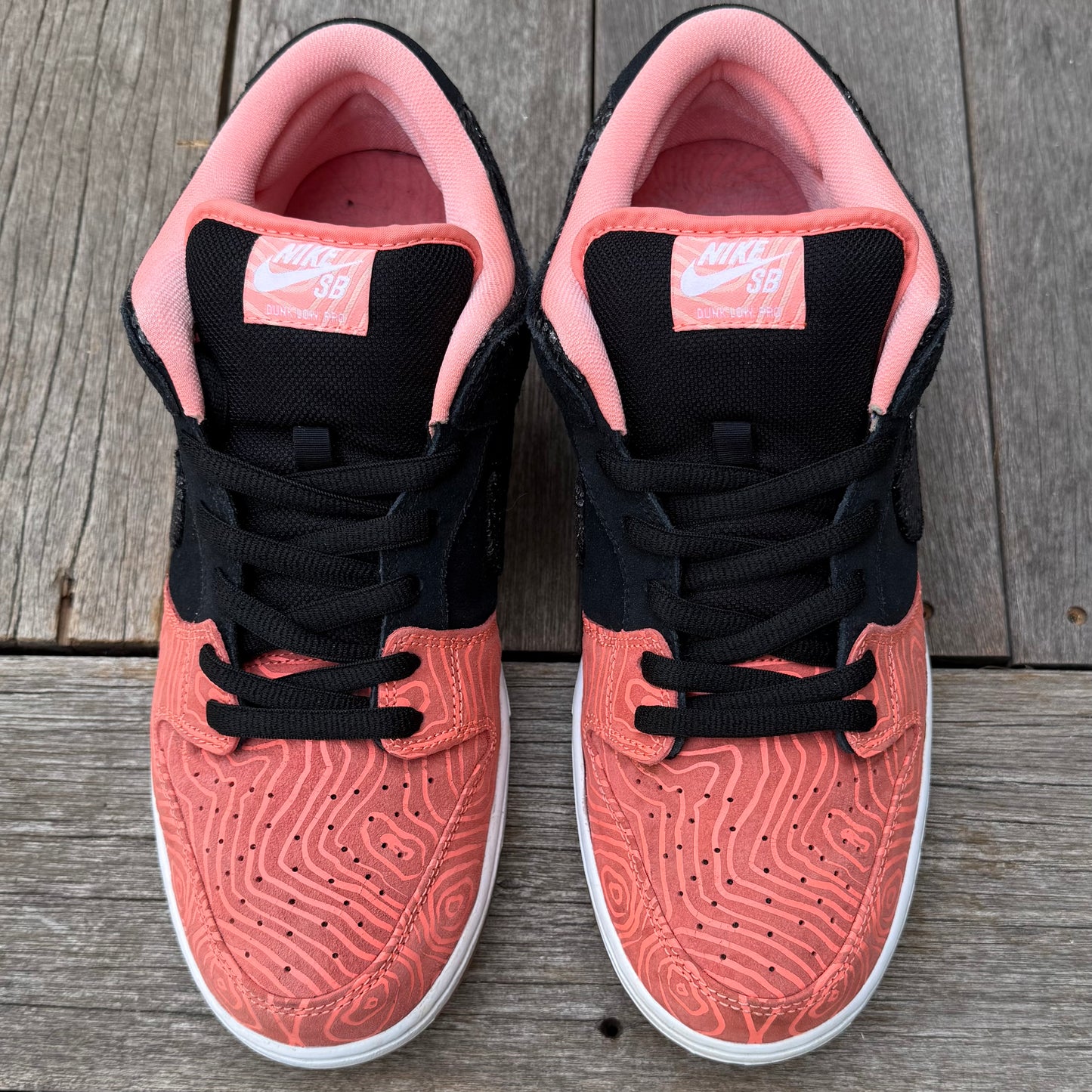 Nike SB Dunk Low Fish Ladder Size 12