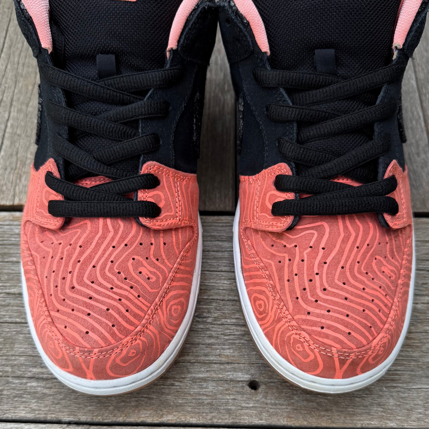 Nike SB Dunk Low Fish Ladder Size 12