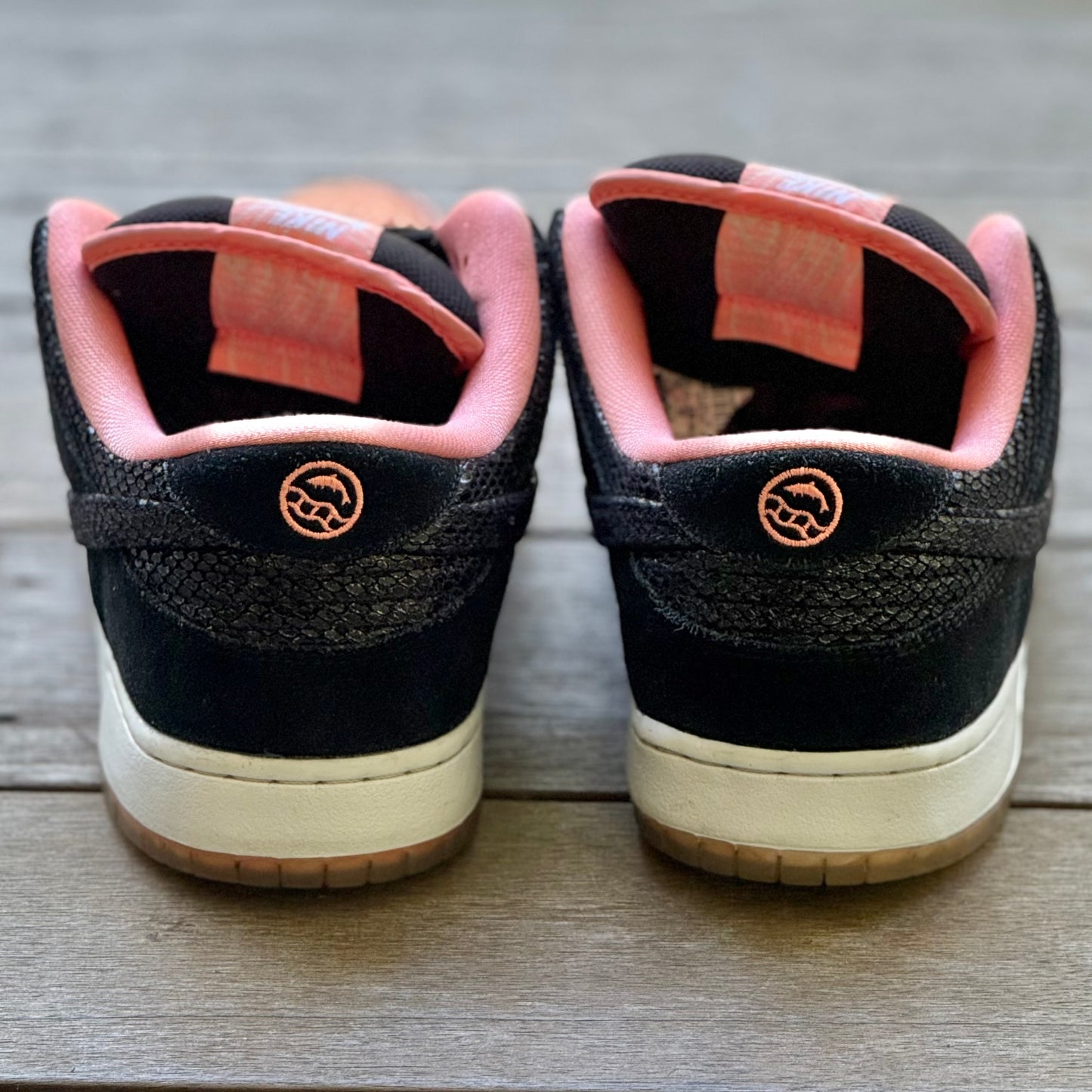 Nike SB Dunk Low Fish Ladder Size 12