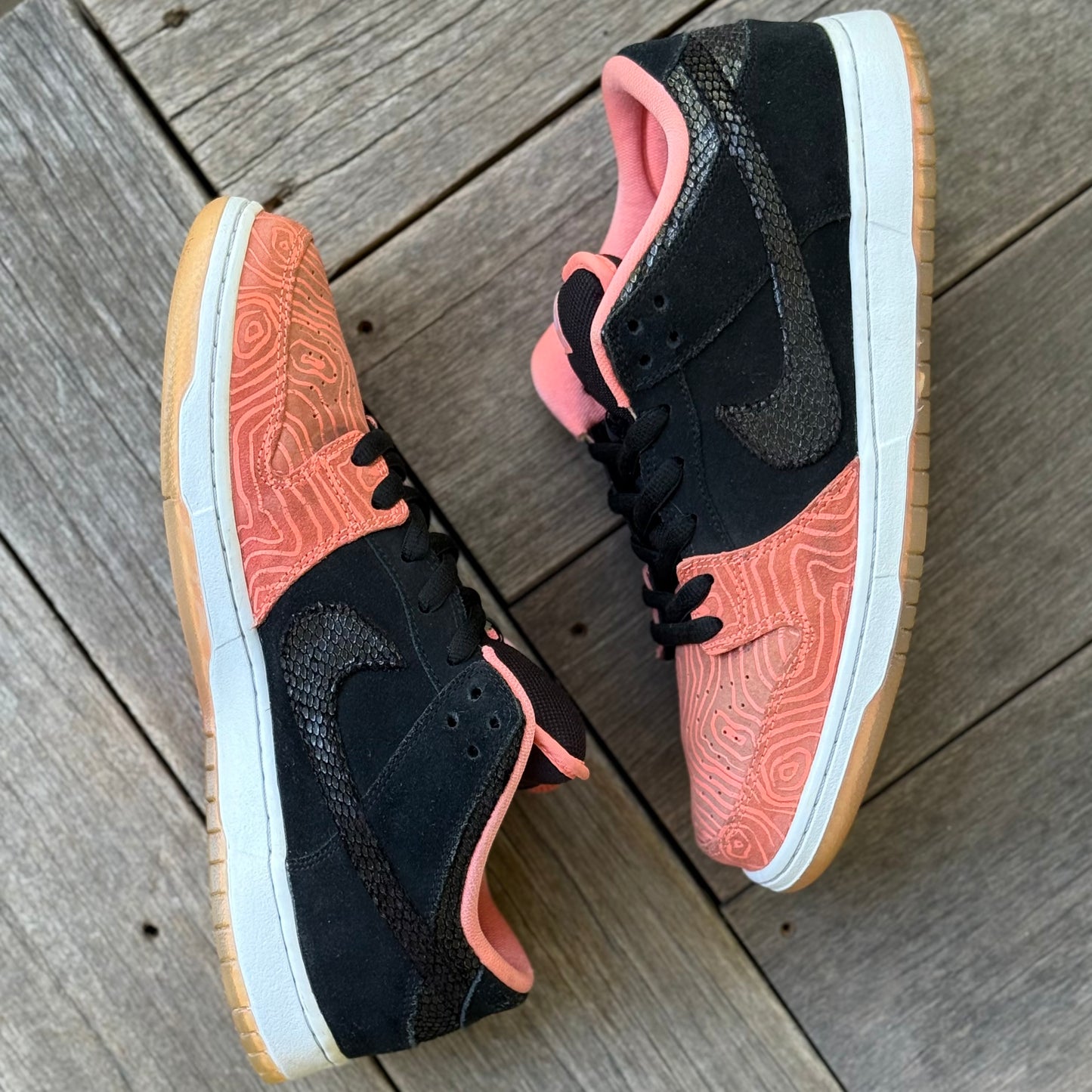 Nike SB Dunk Low Fish Ladder Size 12