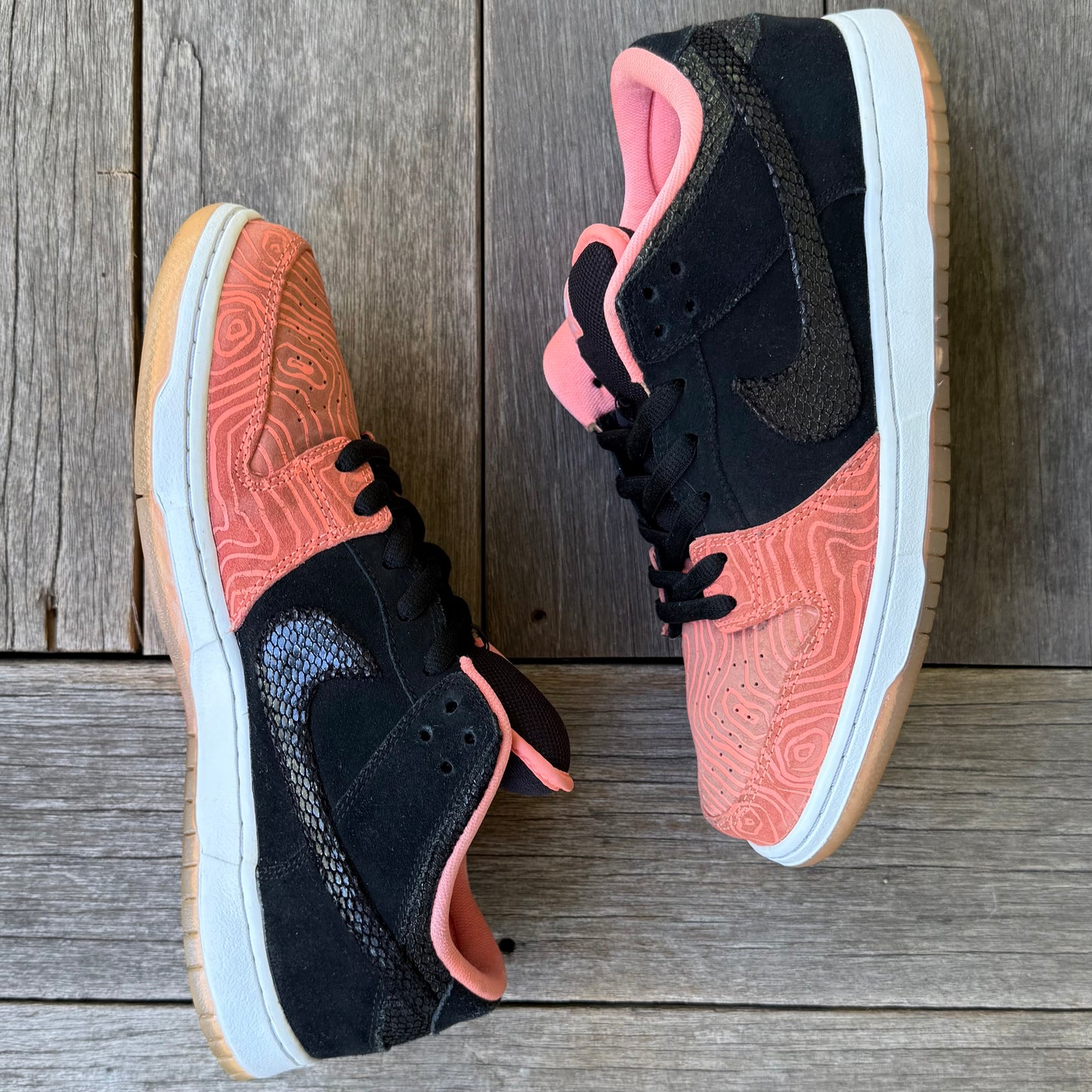 Nike SB Dunk Low Fish Ladder Size 12