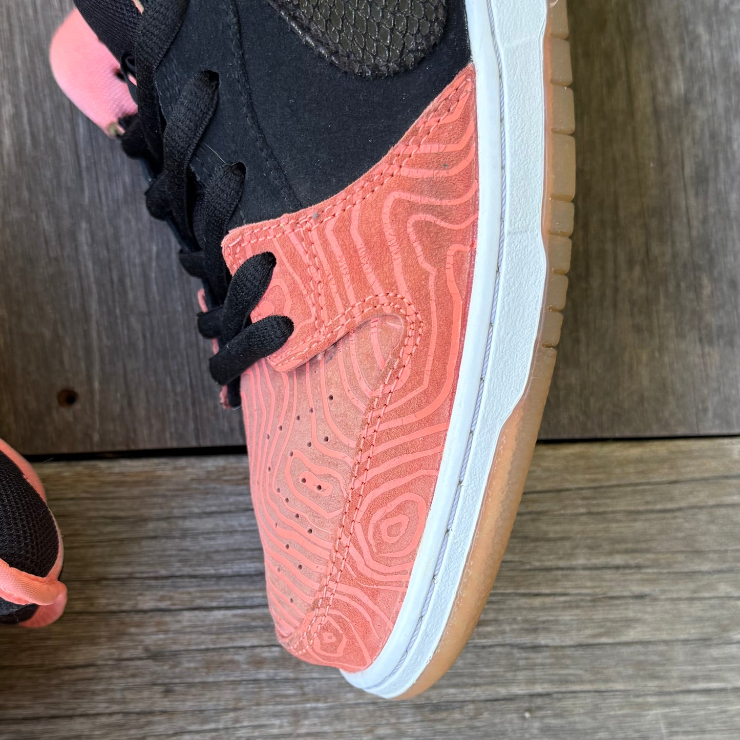 Nike SB Dunk Low Fish Ladder Size 12