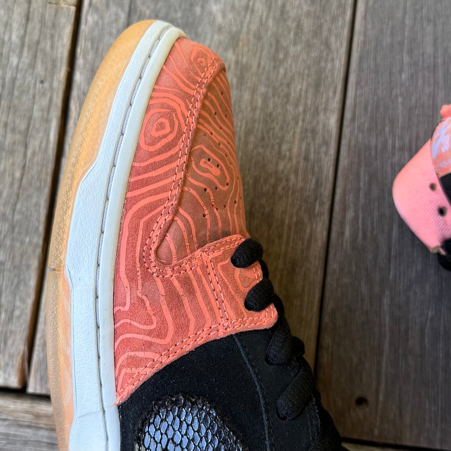 Nike SB Dunk Low Fish Ladder Size 12