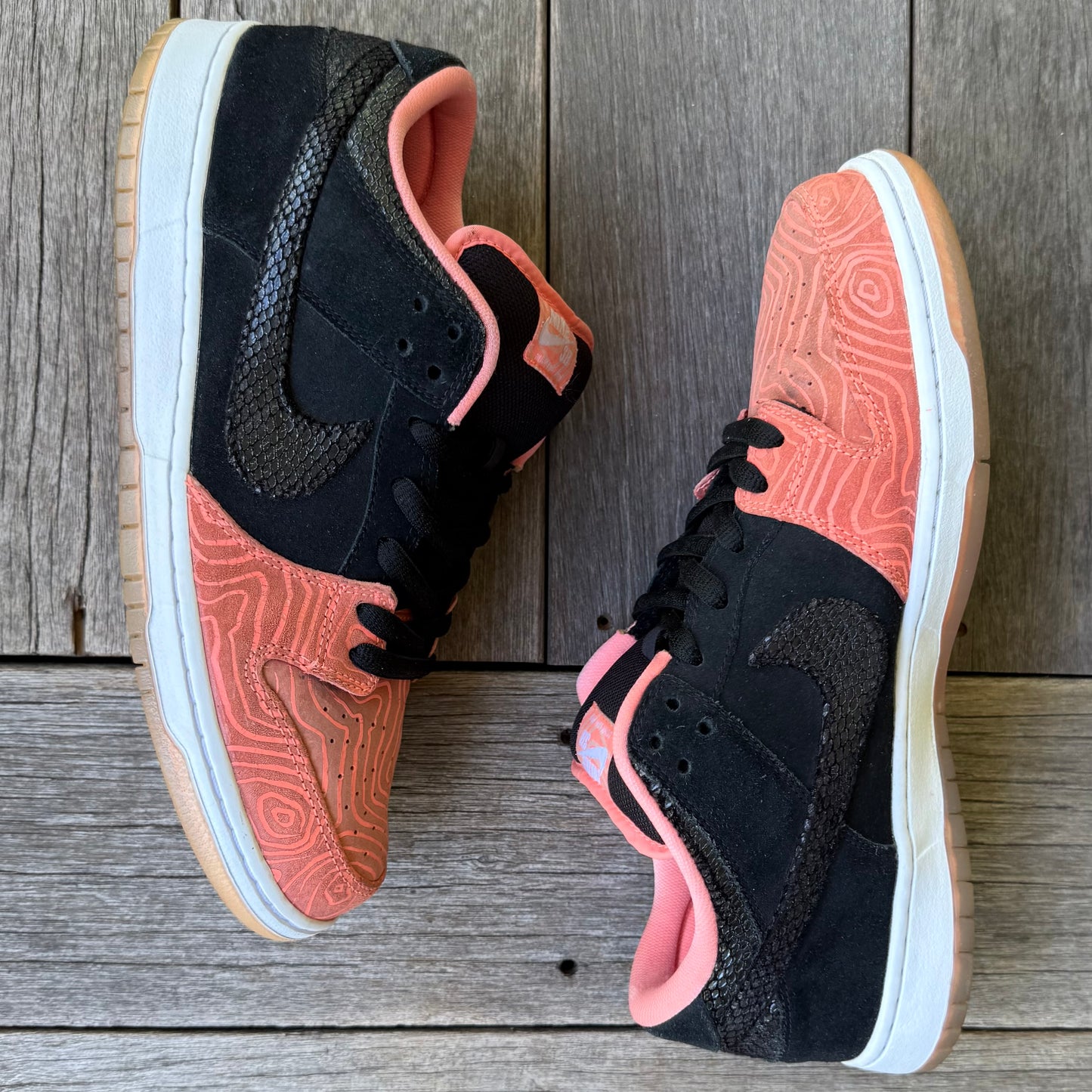 Nike SB Dunk Low Fish Ladder Size 12