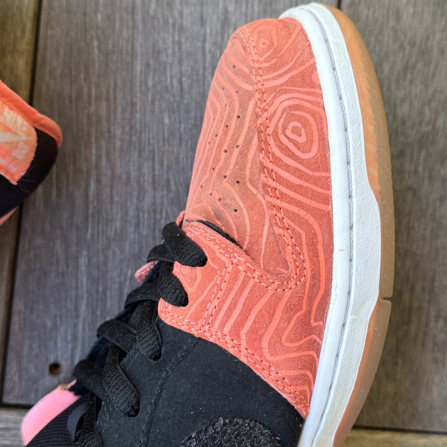 Nike SB Dunk Low Fish Ladder Size 12
