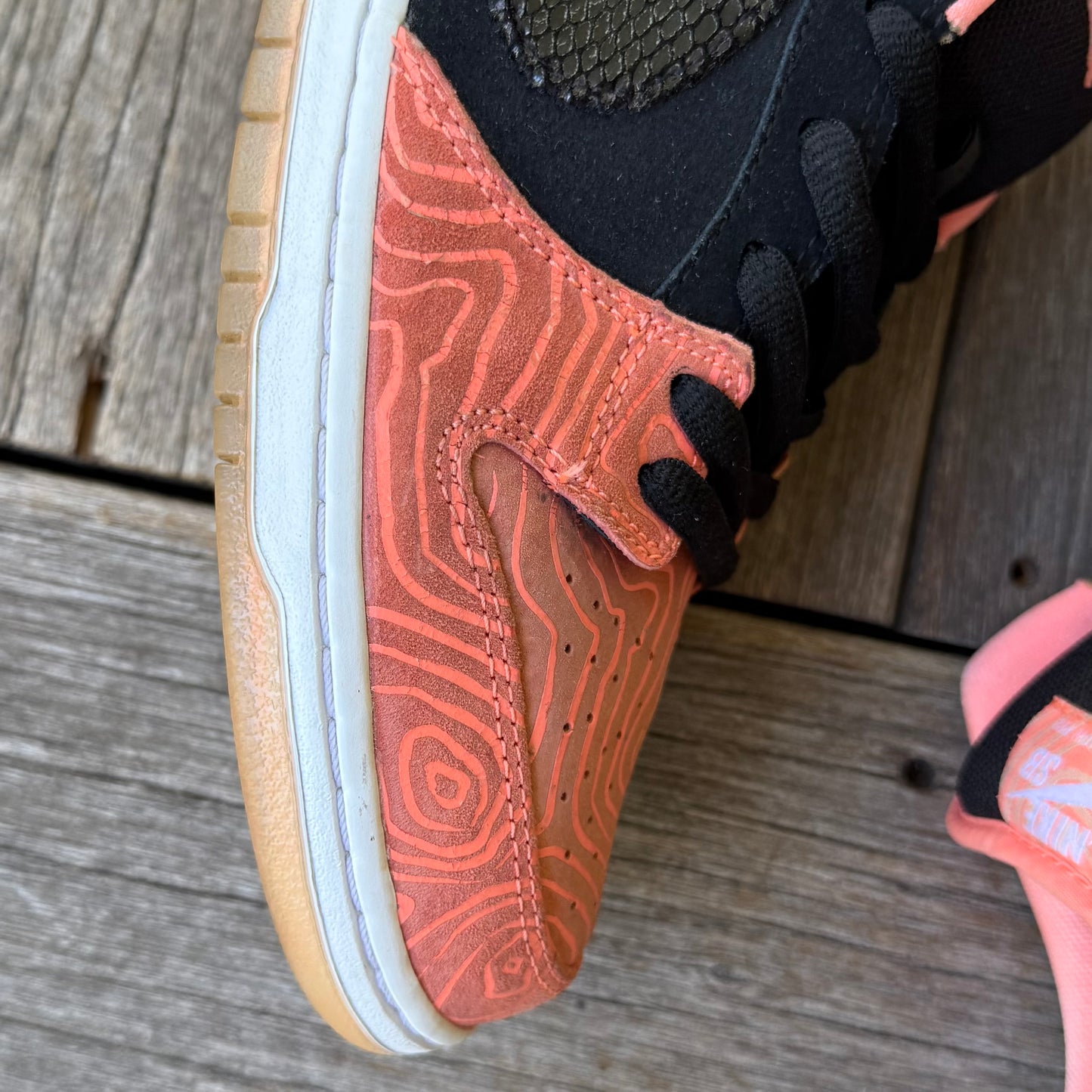 Nike SB Dunk Low Fish Ladder Size 12