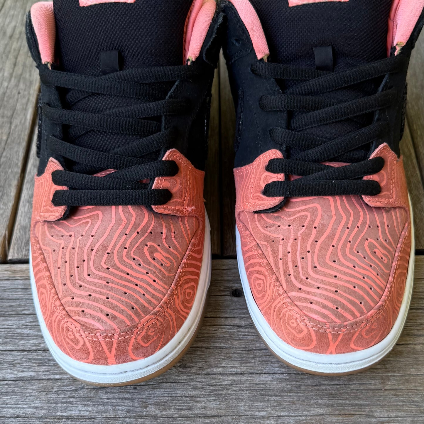 Nike SB Dunk Low Fish Ladder Size 12