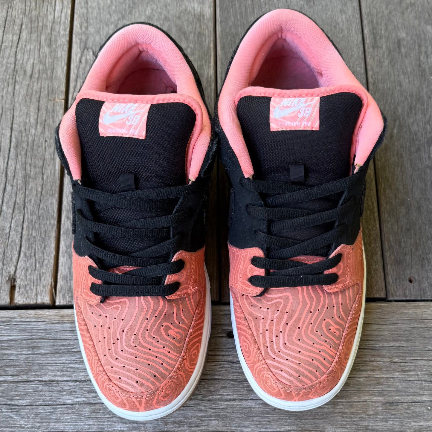 Nike SB Dunk Low Fish Ladder Size 12