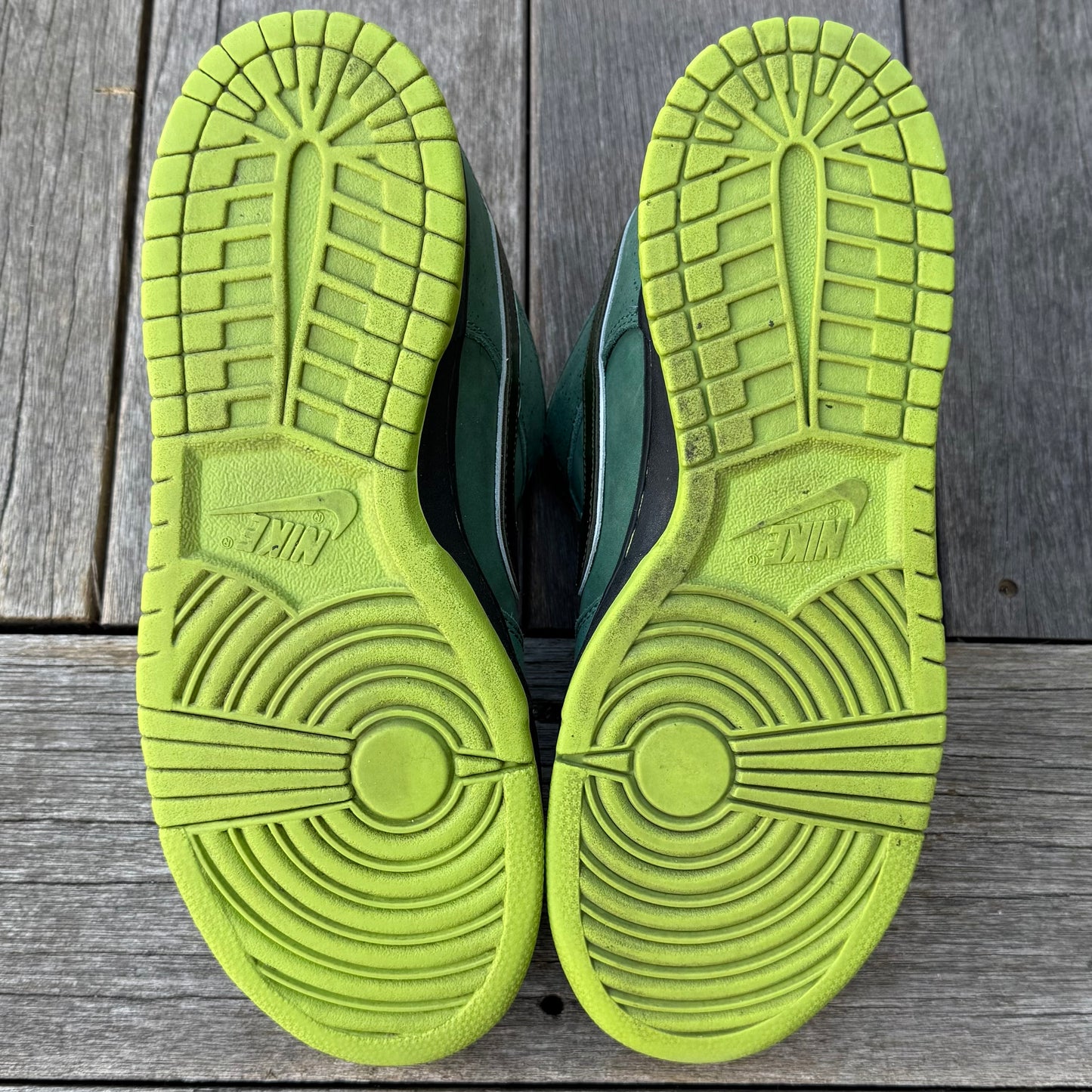 Nike SB Dunk Low Green Lobster Size 9.5