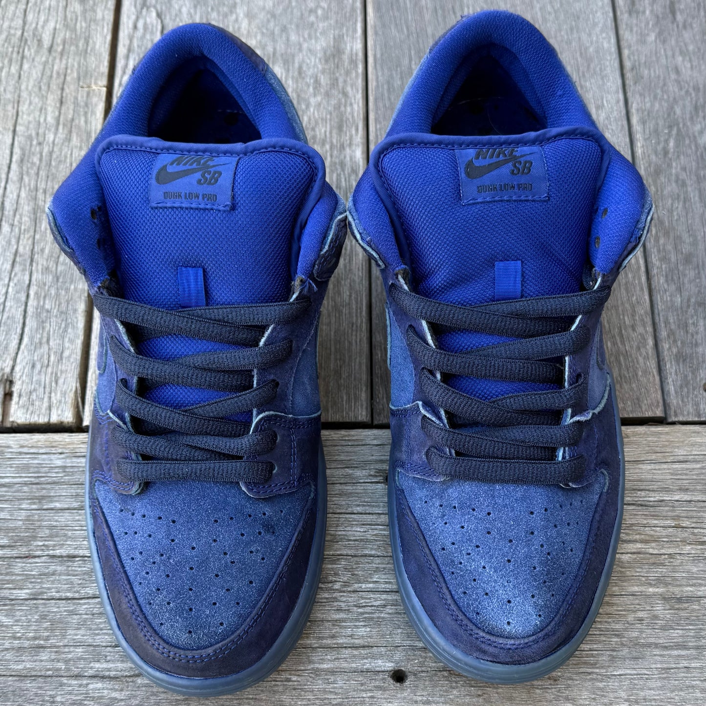 Nike SB Dunk Low Once in a Blue Moon Size 10