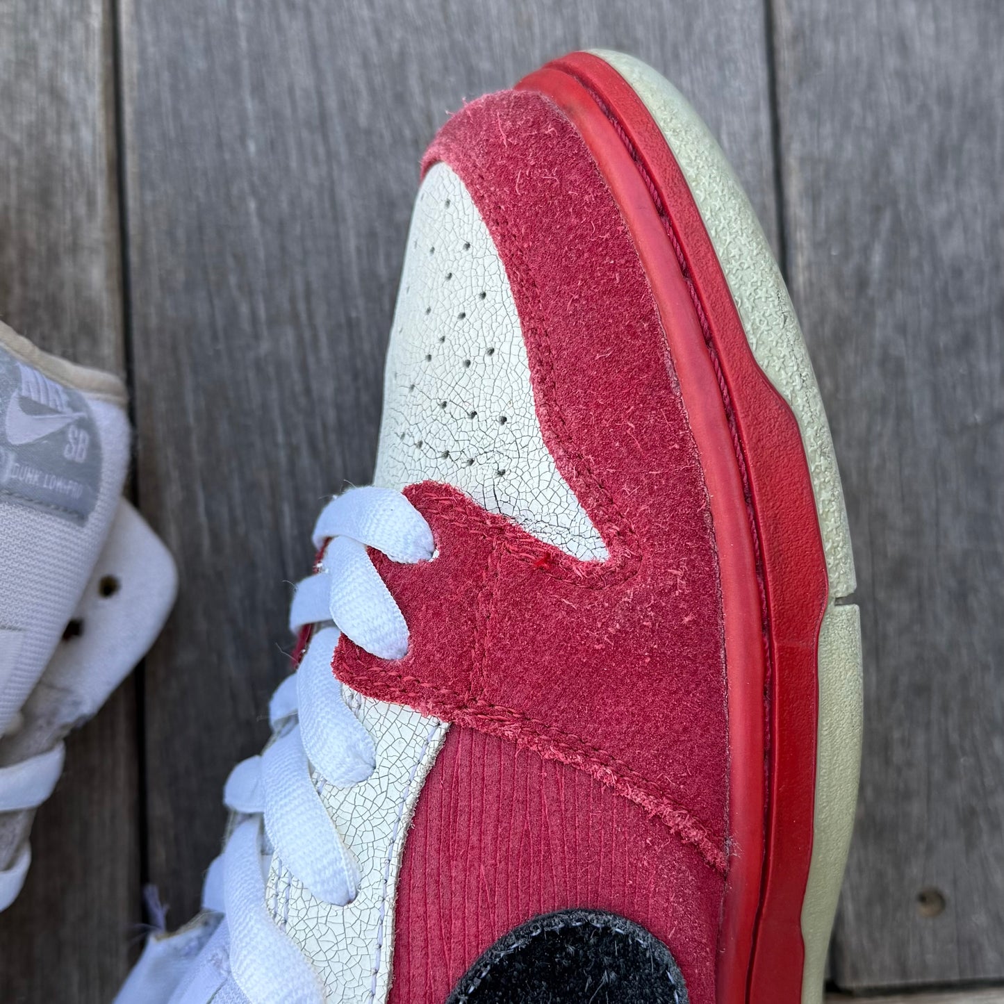 Nike SB Dunk Low Roller Derby Size 9