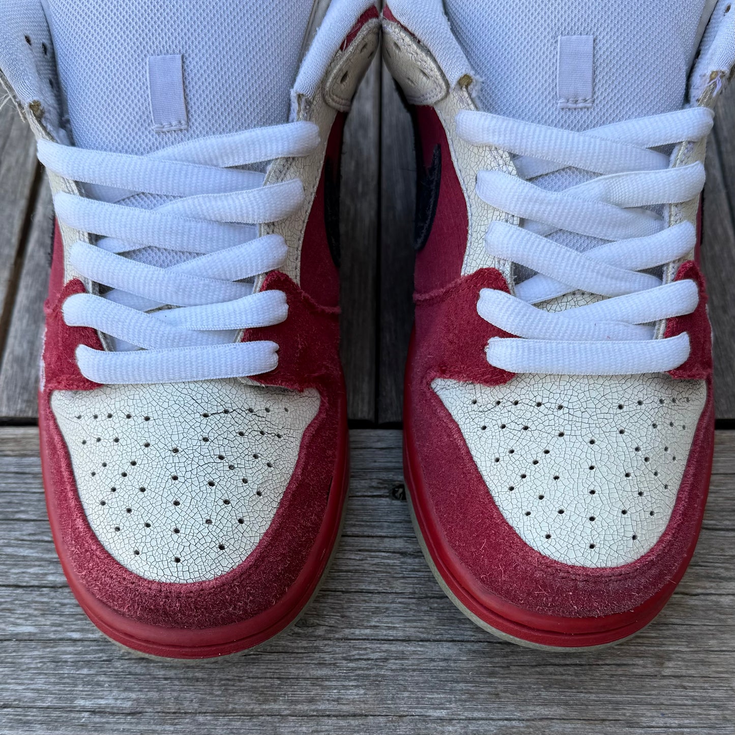 Nike SB Dunk Low Roller Derby Size 9