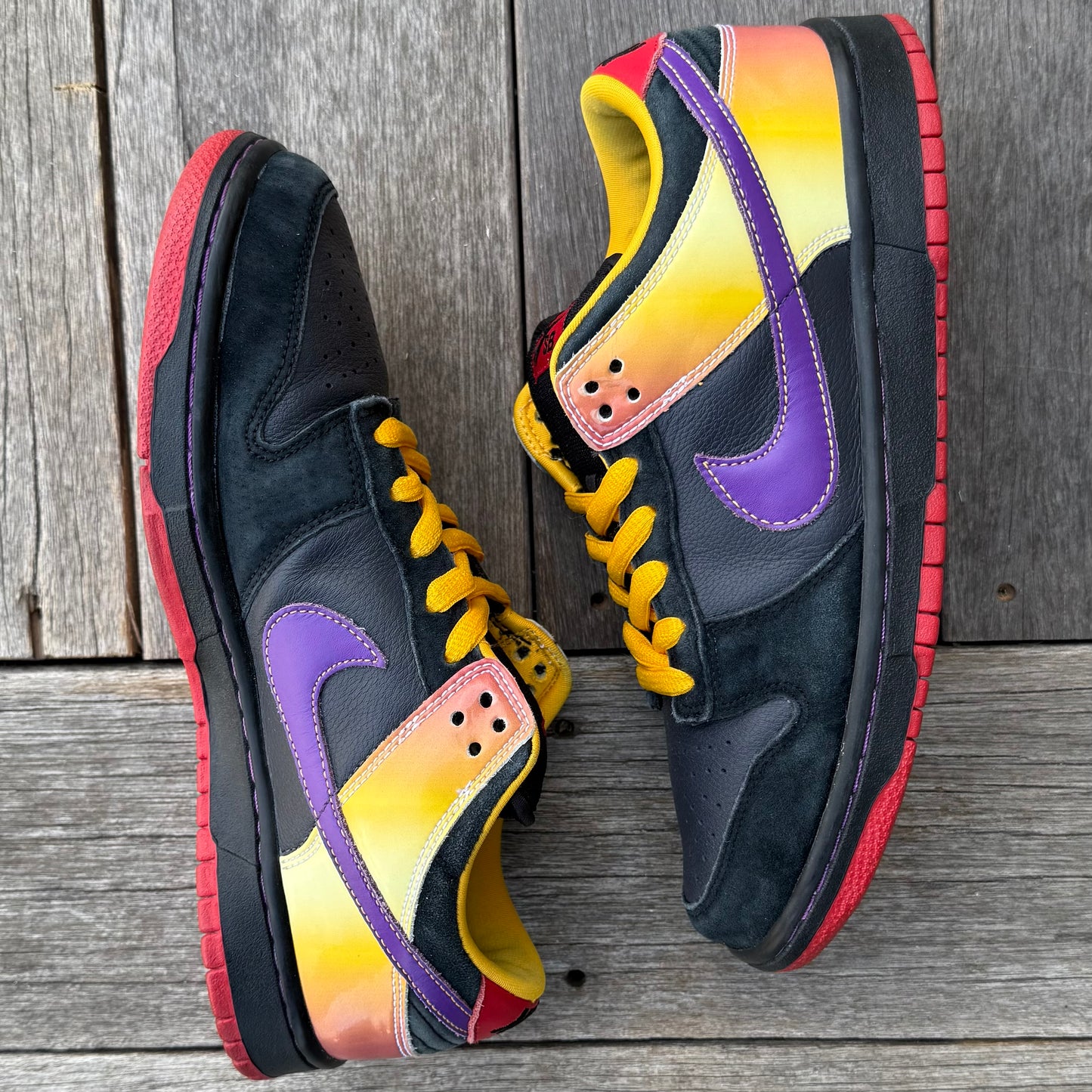 Nike SB Dunk Low Appetite for Destruction Size 10