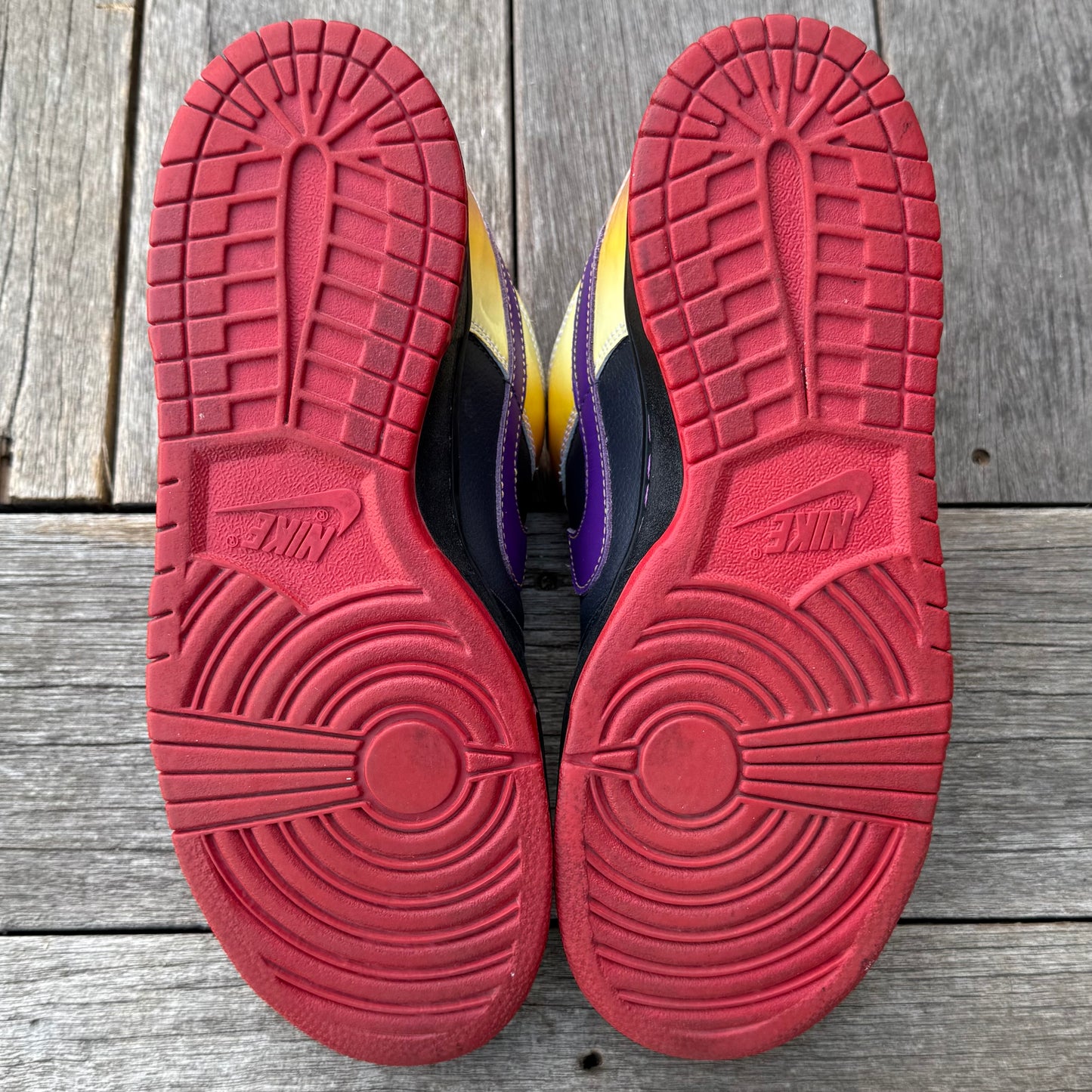 Nike SB Dunk Low Appetite for Destruction Size 10