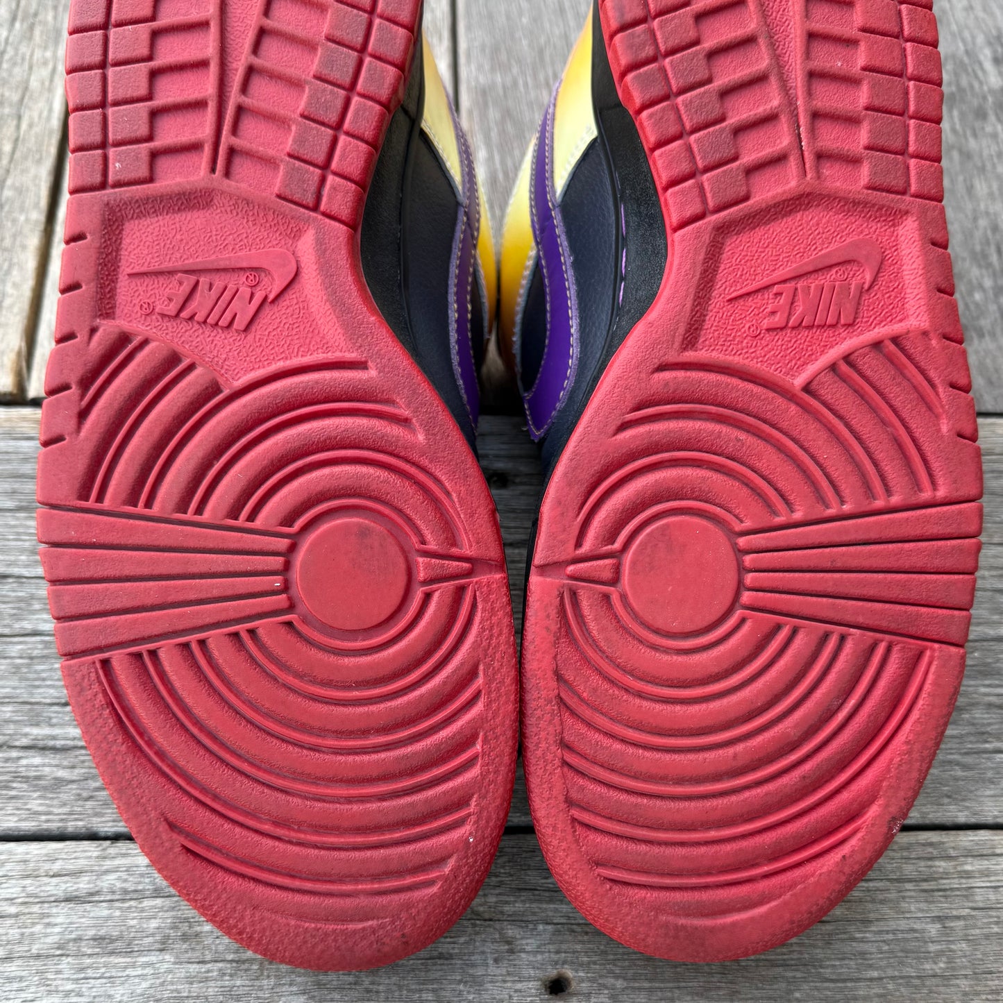 Nike SB Dunk Low Appetite for Destruction Size 10