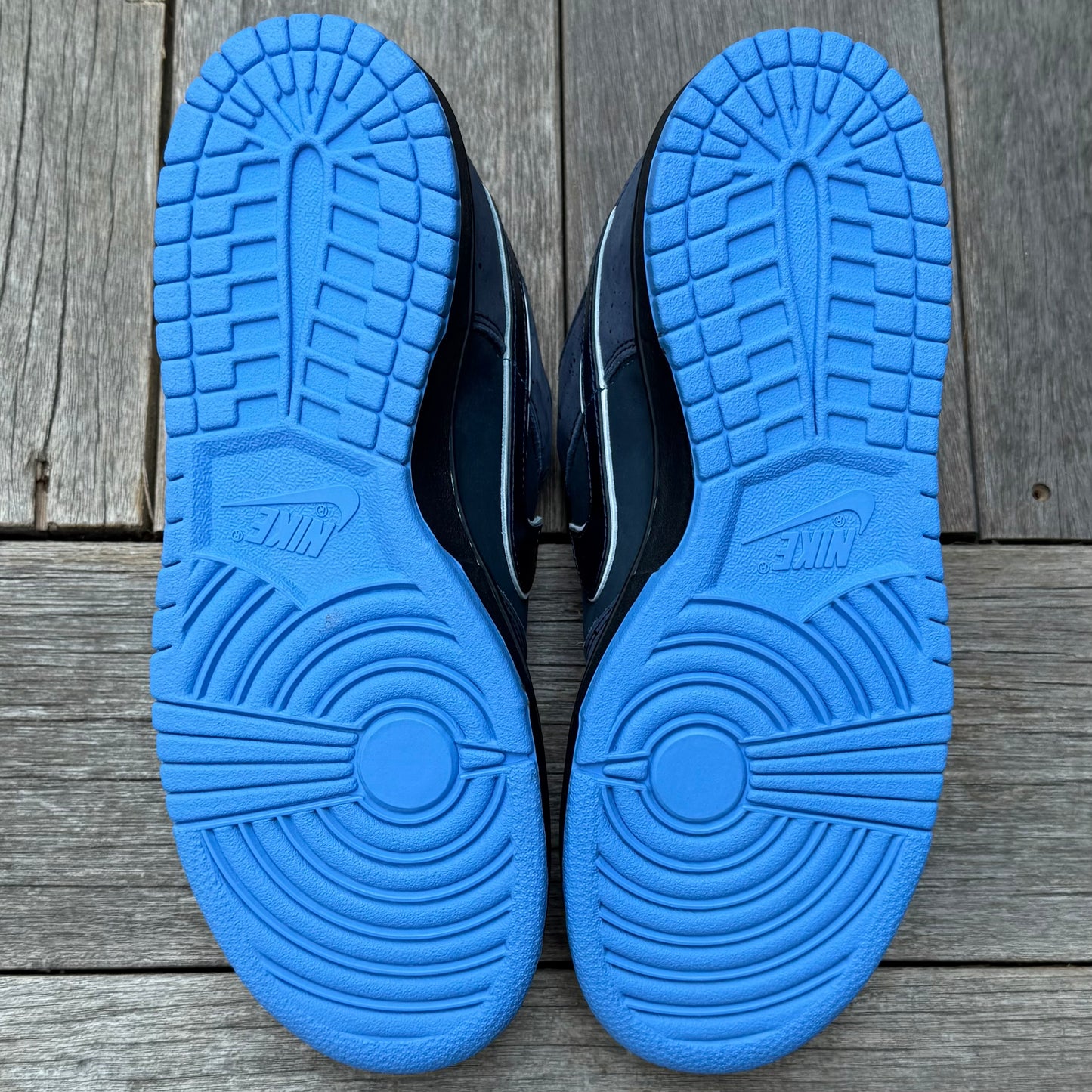 Nike SB Dunk Low Blue Lobster Size 10