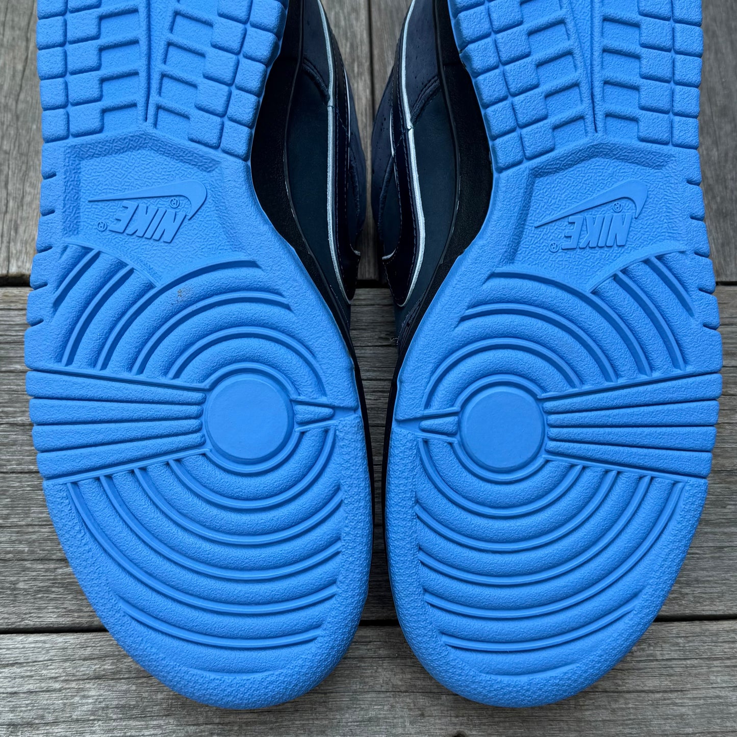 Nike SB Dunk Low Blue Lobster Size 10