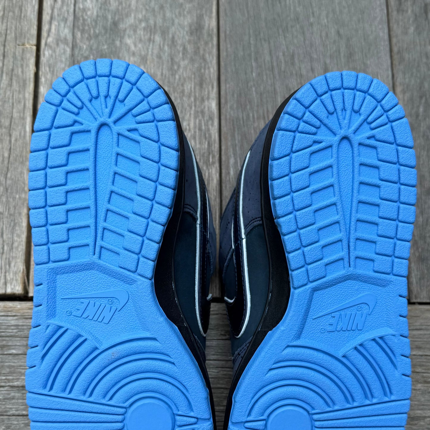 Nike SB Dunk Low Blue Lobster Size 10