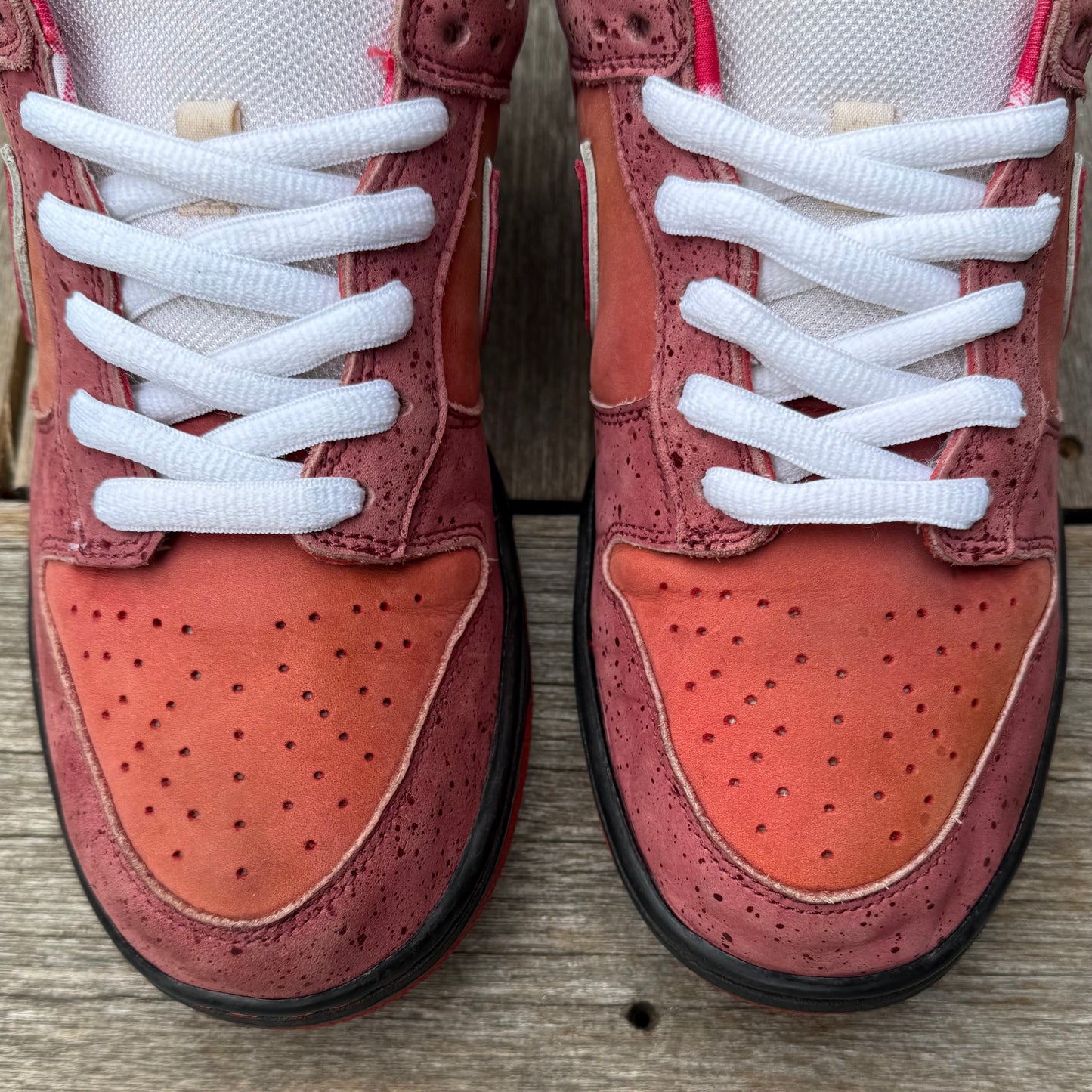 Nike SB Dunk Low Red Lobster Size 10