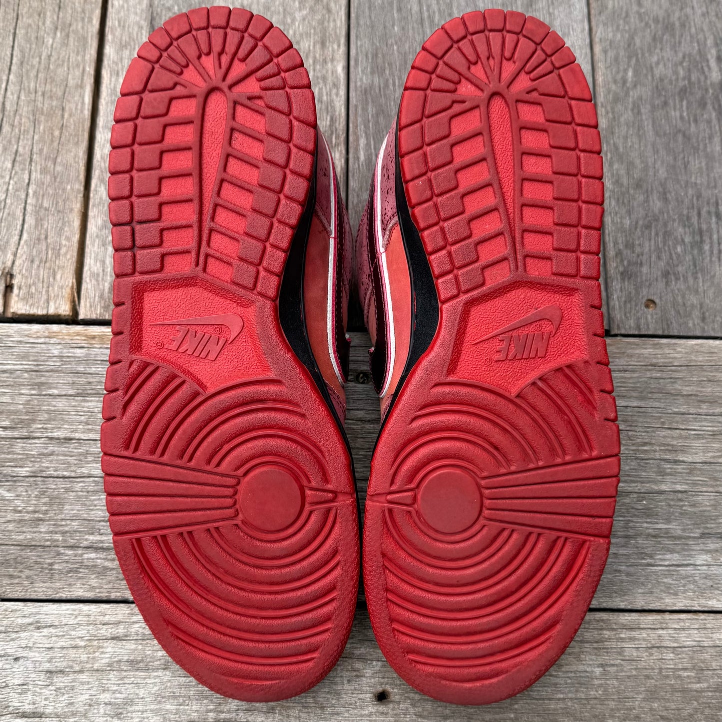 Nike SB Dunk Low Red Lobster Size 10