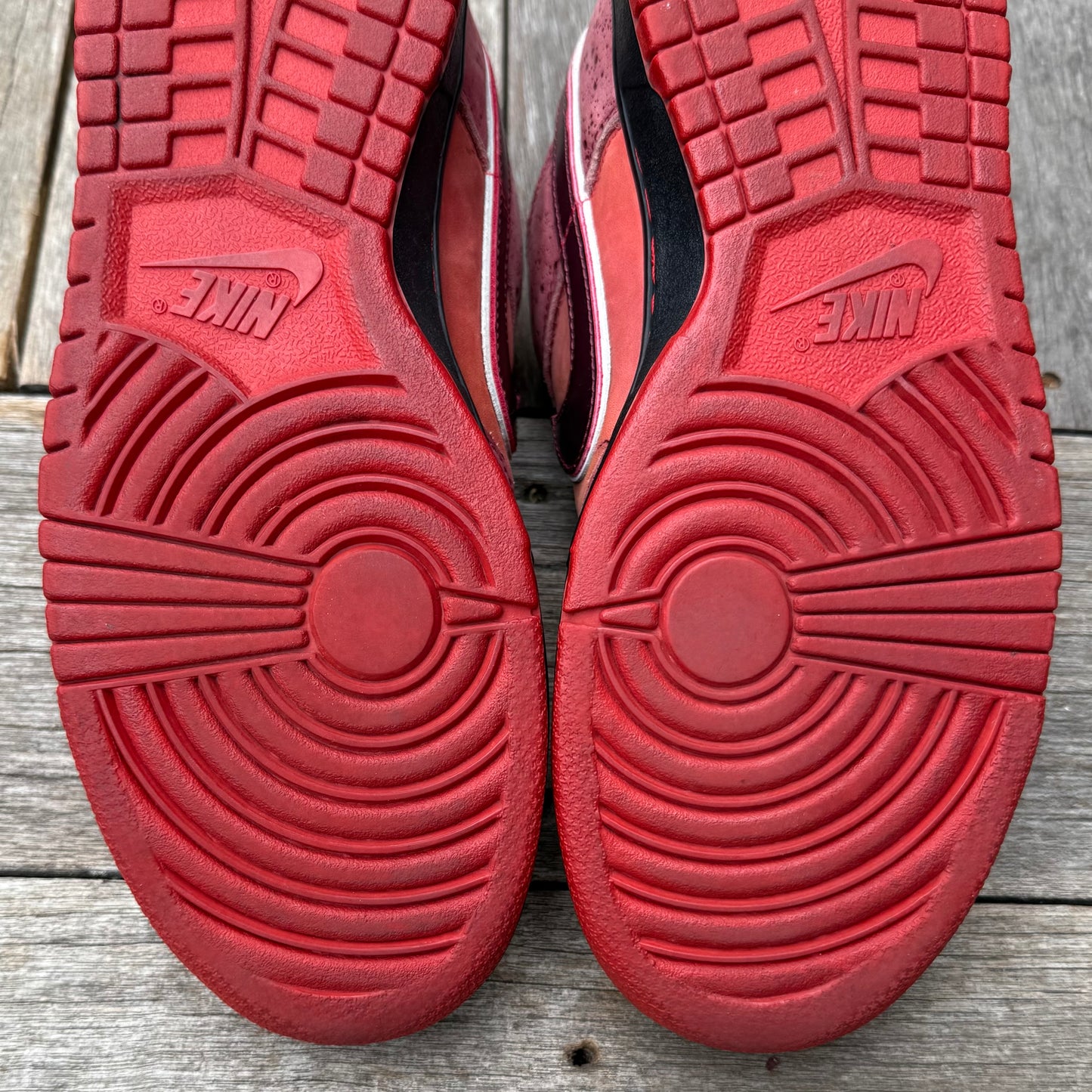 Nike SB Dunk Low Red Lobster Size 10