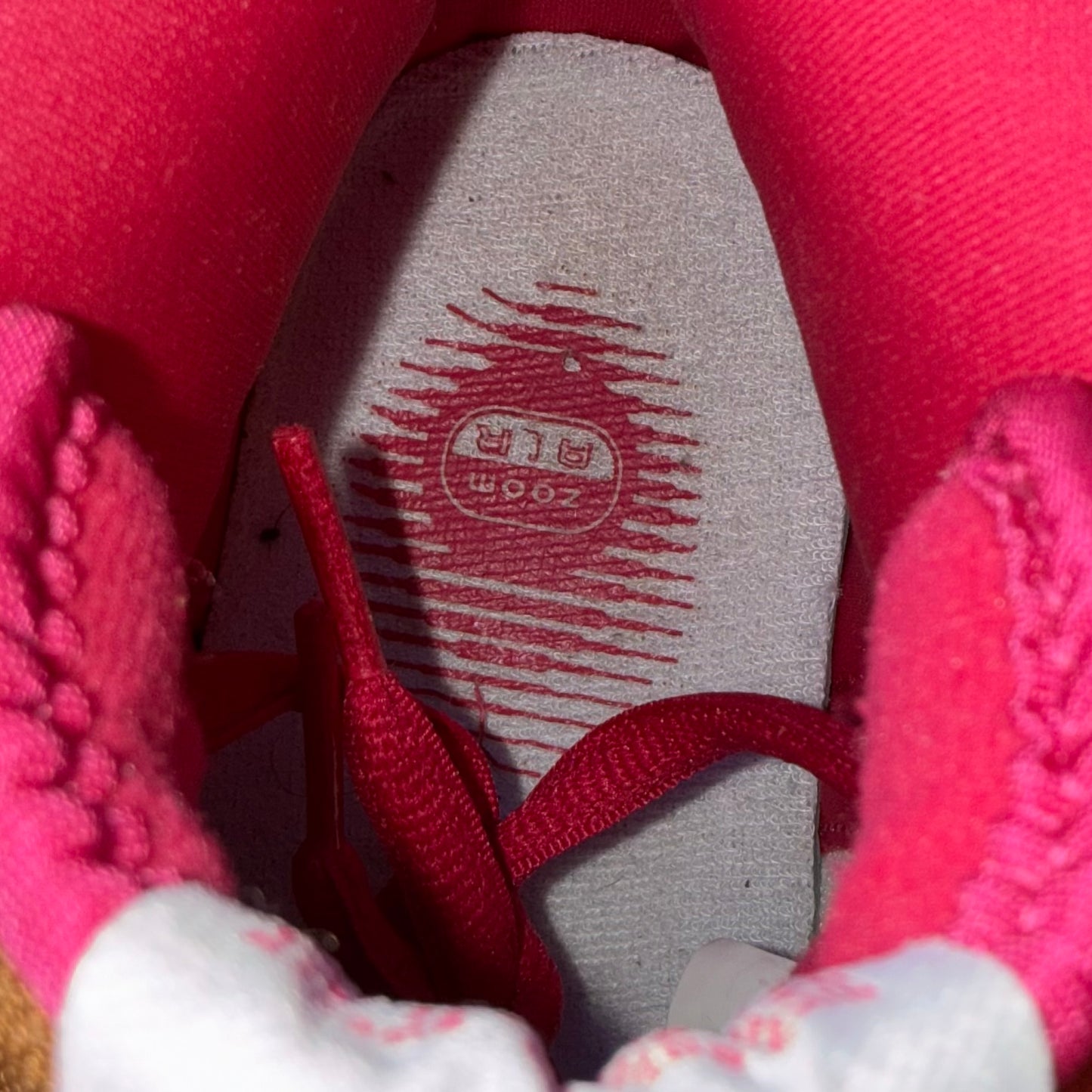 Nike SB Dunk High Todd Bratrud Size 10.5