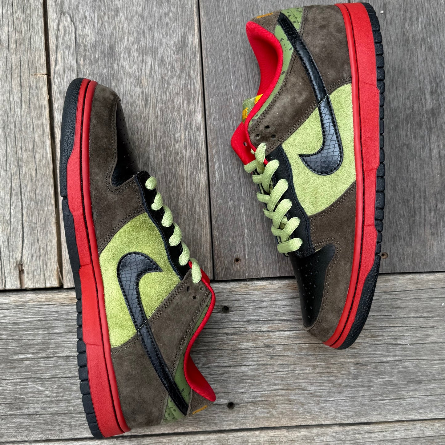 Nike SB Dunk Low Asparagus Size 9.5