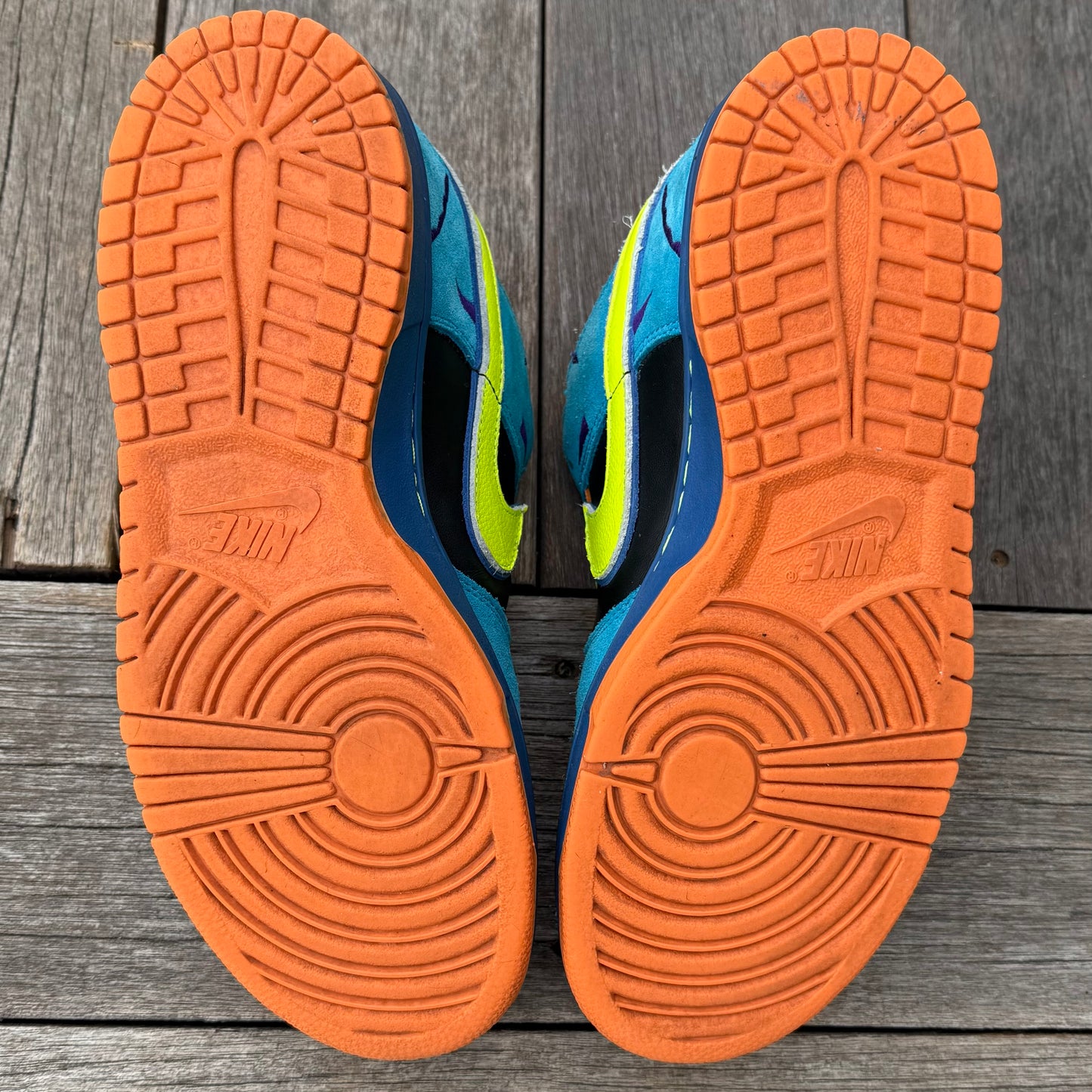 Nike SB Dunk Low Skate or Die Size 10.5