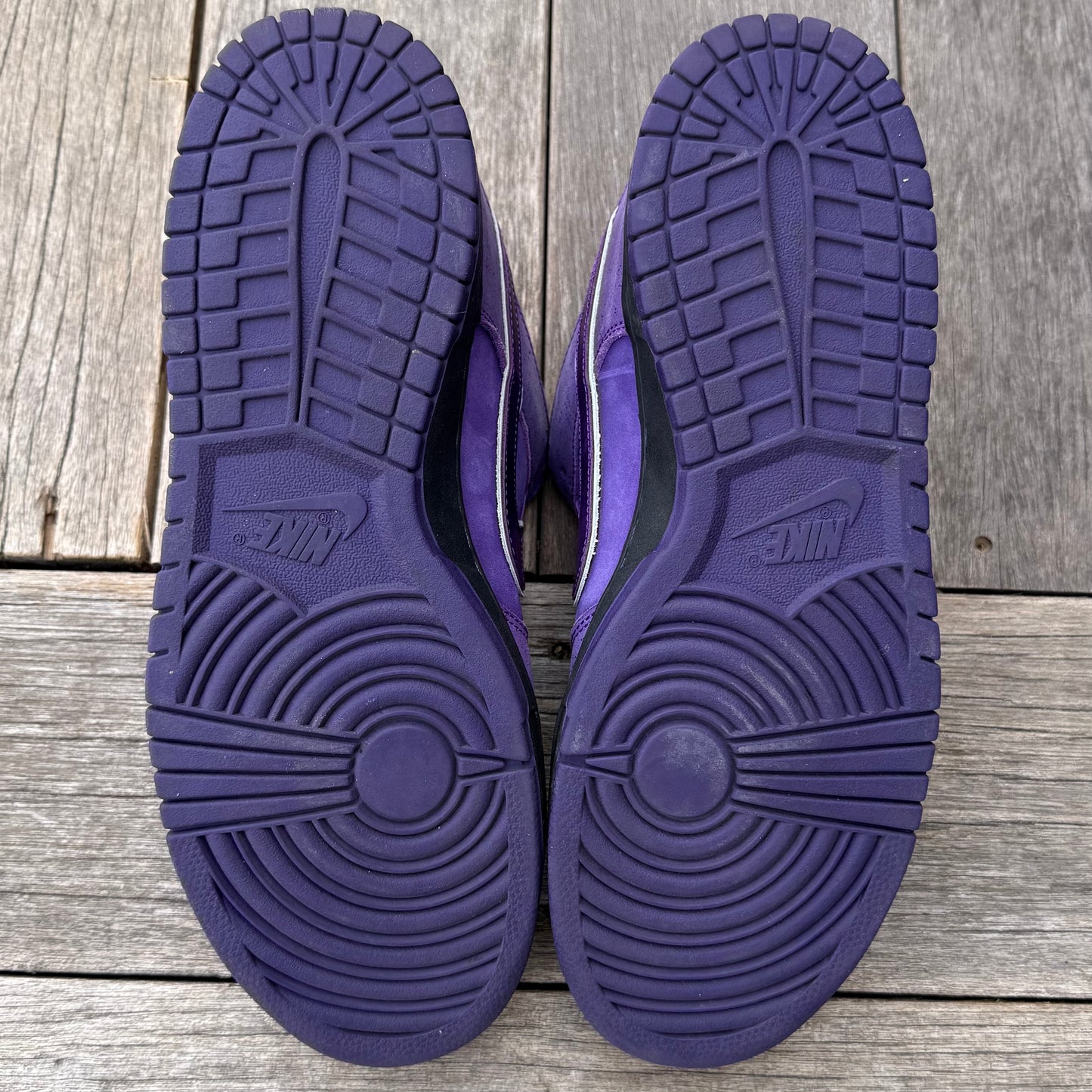 Nike SB Dunk Low Purple Lobster Size 12