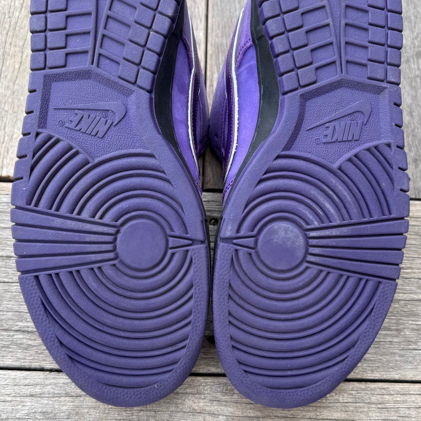 Nike SB Dunk Low Purple Lobster Size 12