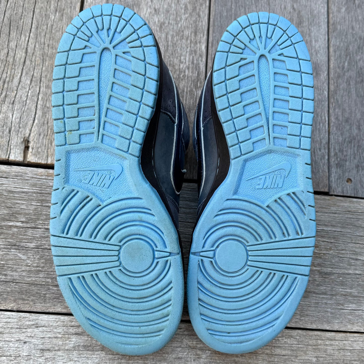 Nike SB Dunk Low Blue Lobster Size 10