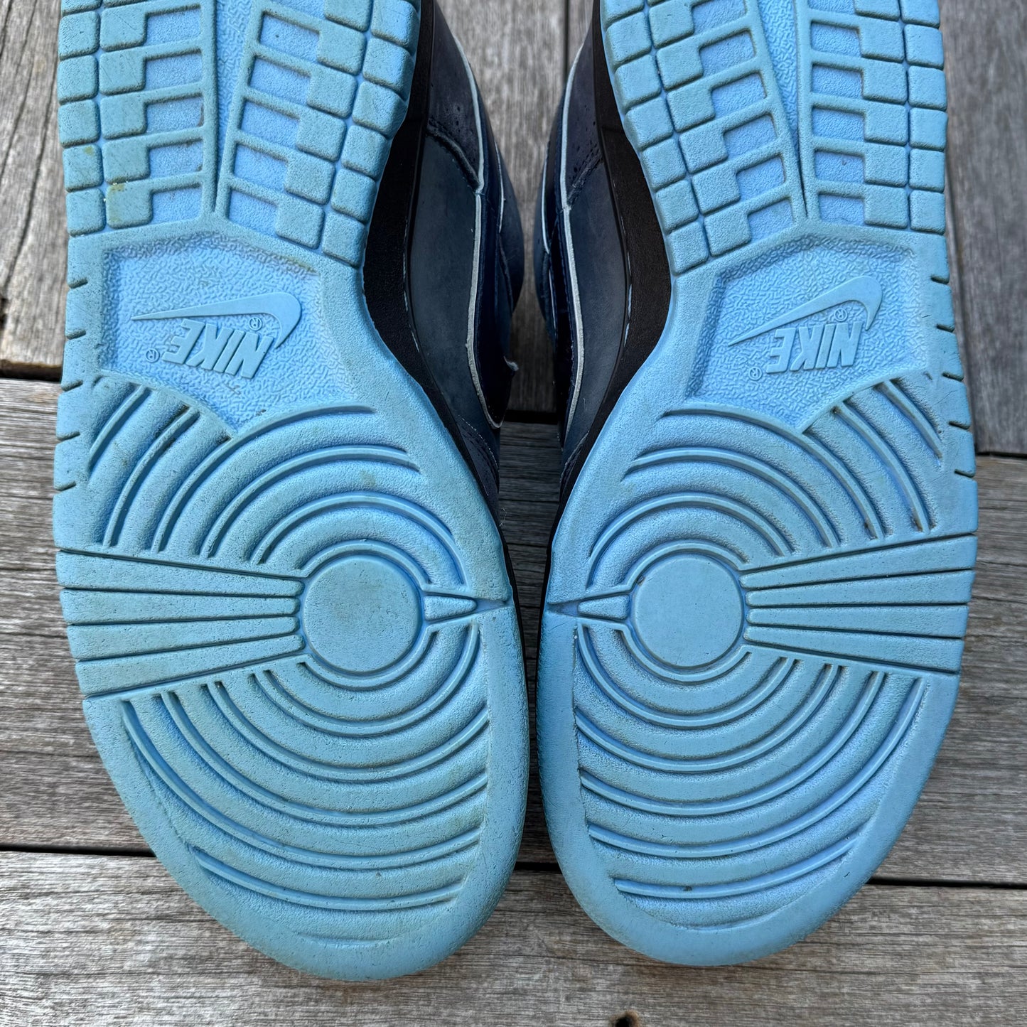 Nike SB Dunk Low Blue Lobster Size 10