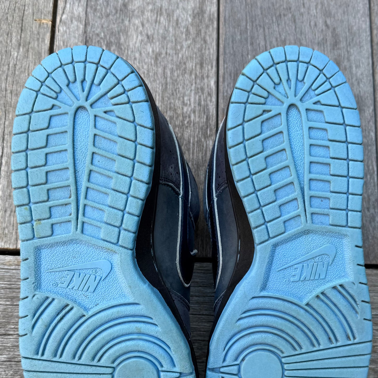 Nike SB Dunk Low Blue Lobster Size 10