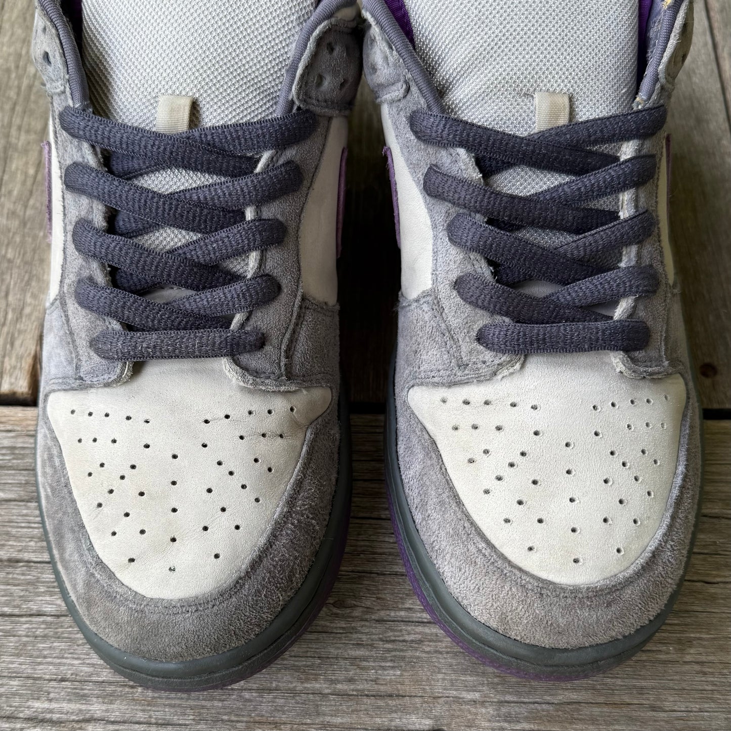 Nike SB Dunk Low Purple Pigeon Size 11.5