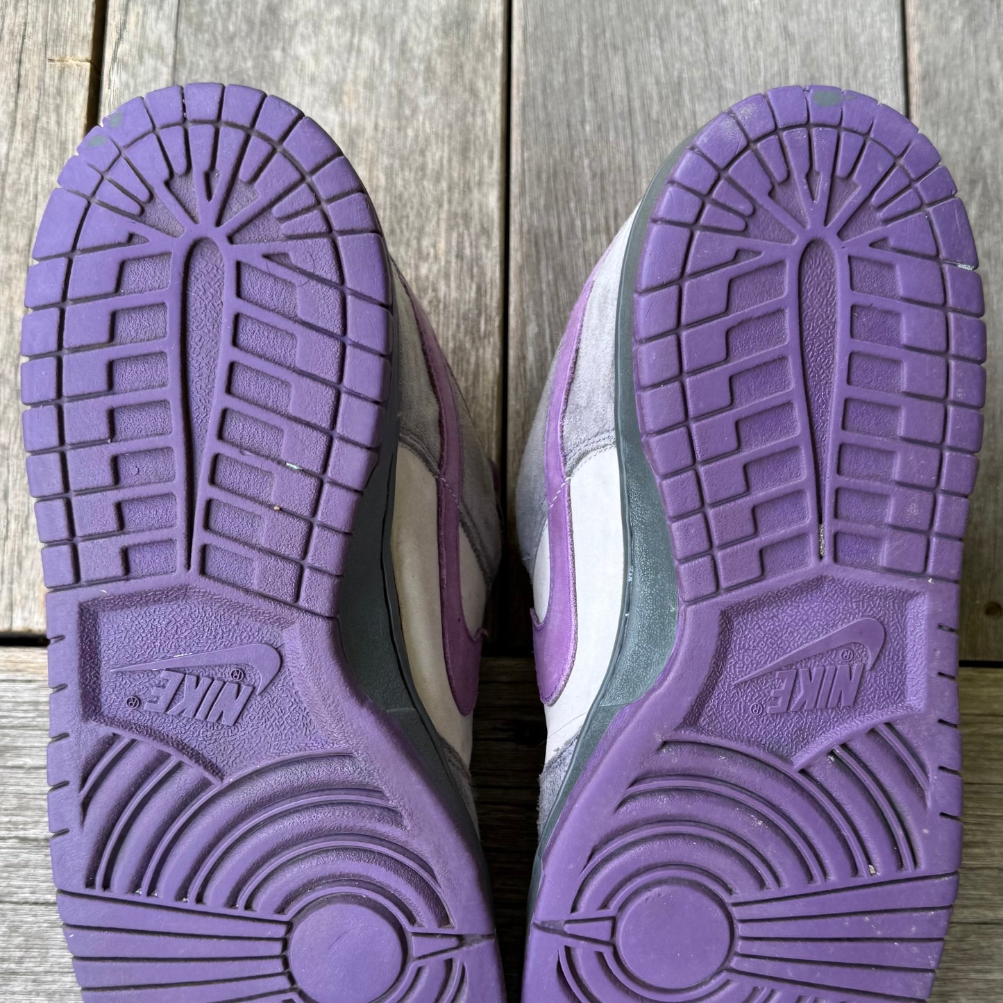 Nike SB Dunk Low Purple Pigeon Size 11.5