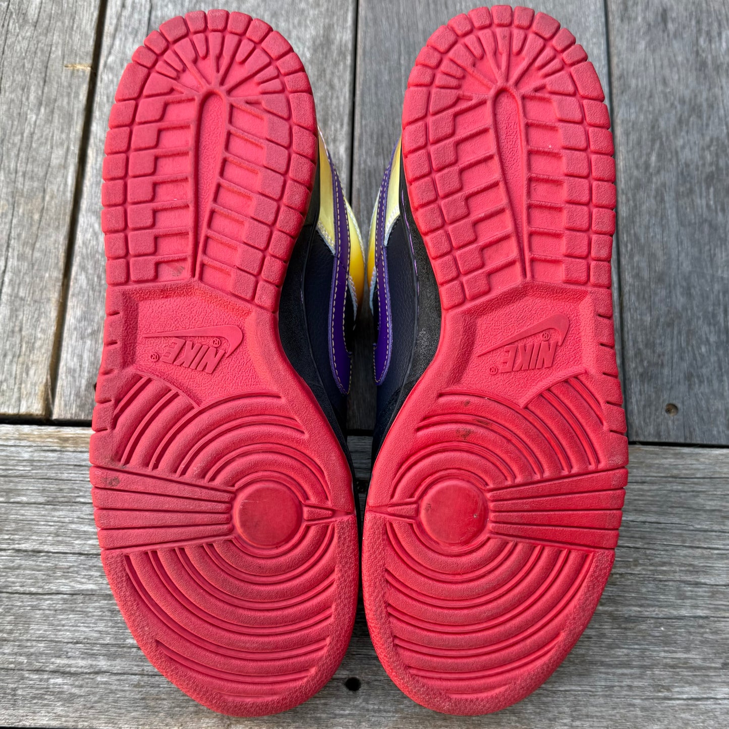 Nike SB Dunk Low Appetite for Destruction Size 8.5