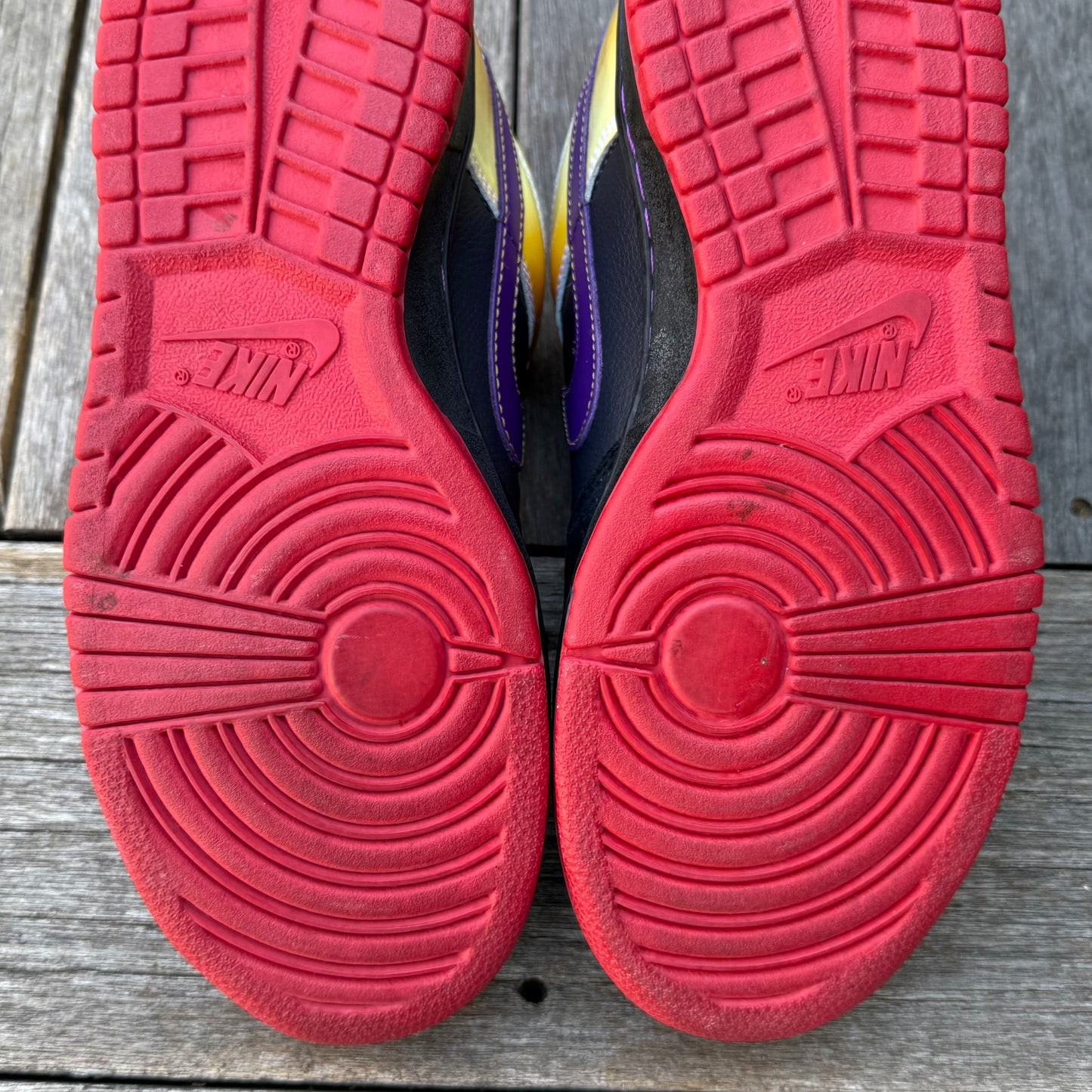 Nike SB Dunk Low Appetite for Destruction Size 8.5