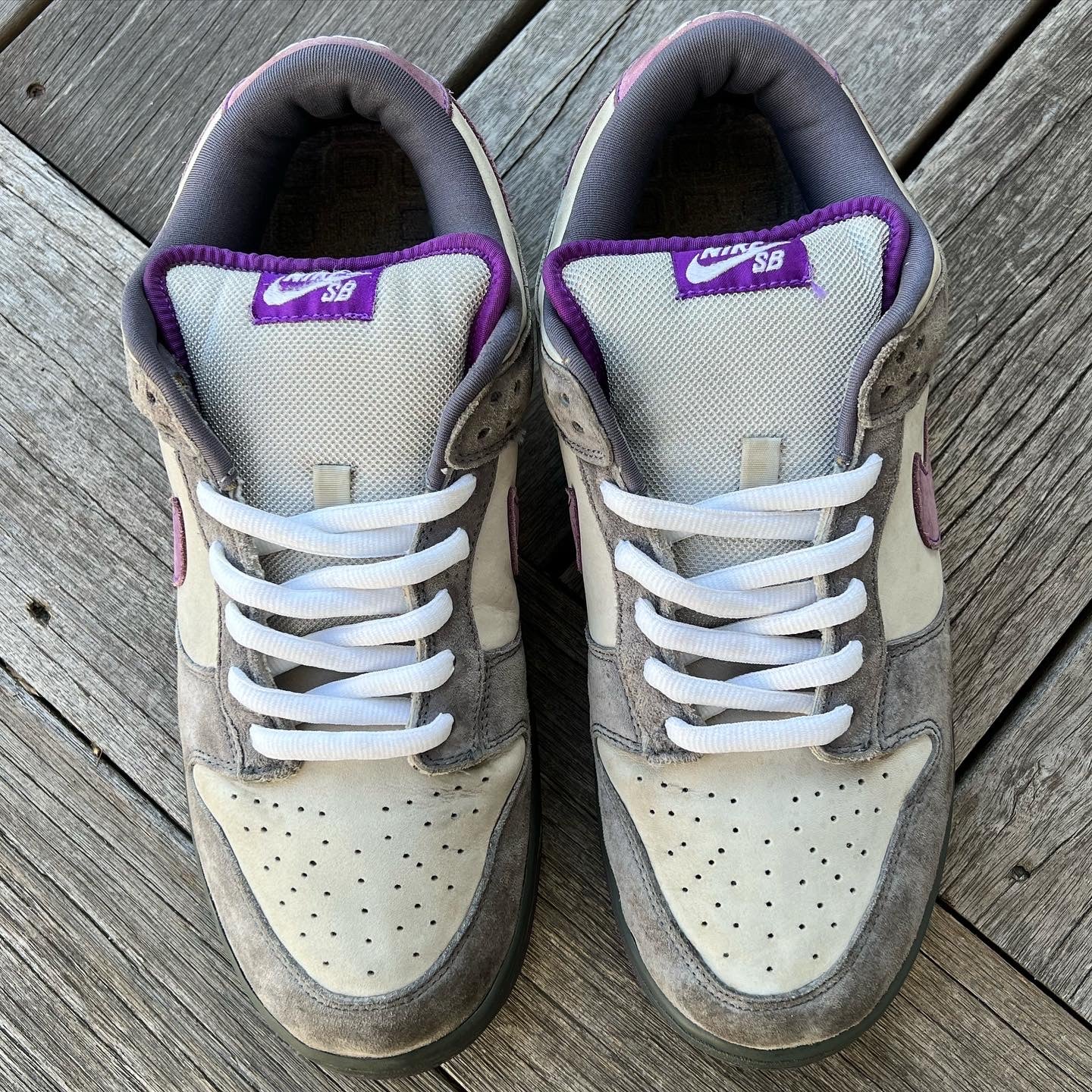 Sb hot sale purple pigeon